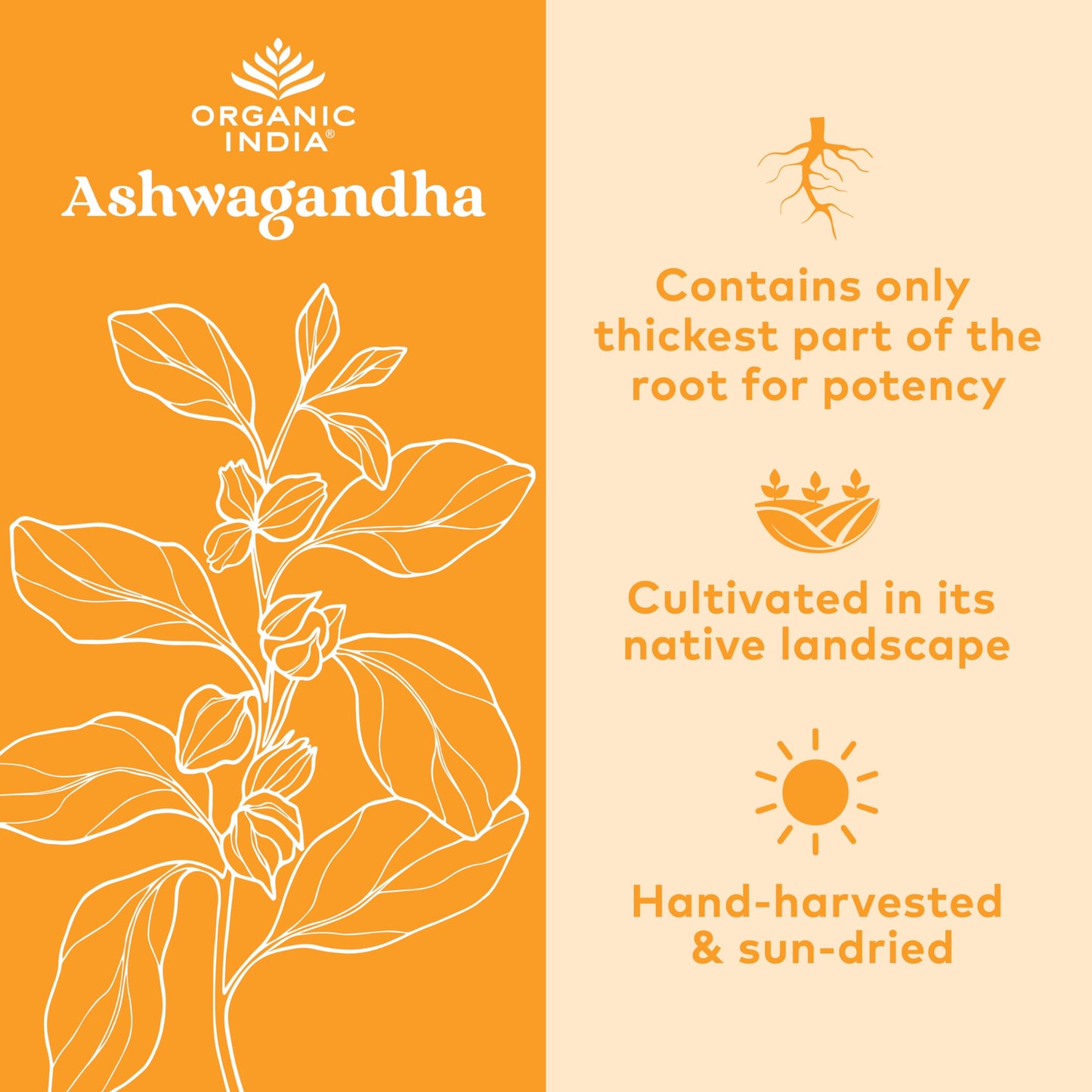 ORGANIC INDIA Ashwagandha Capsules 180 Count
