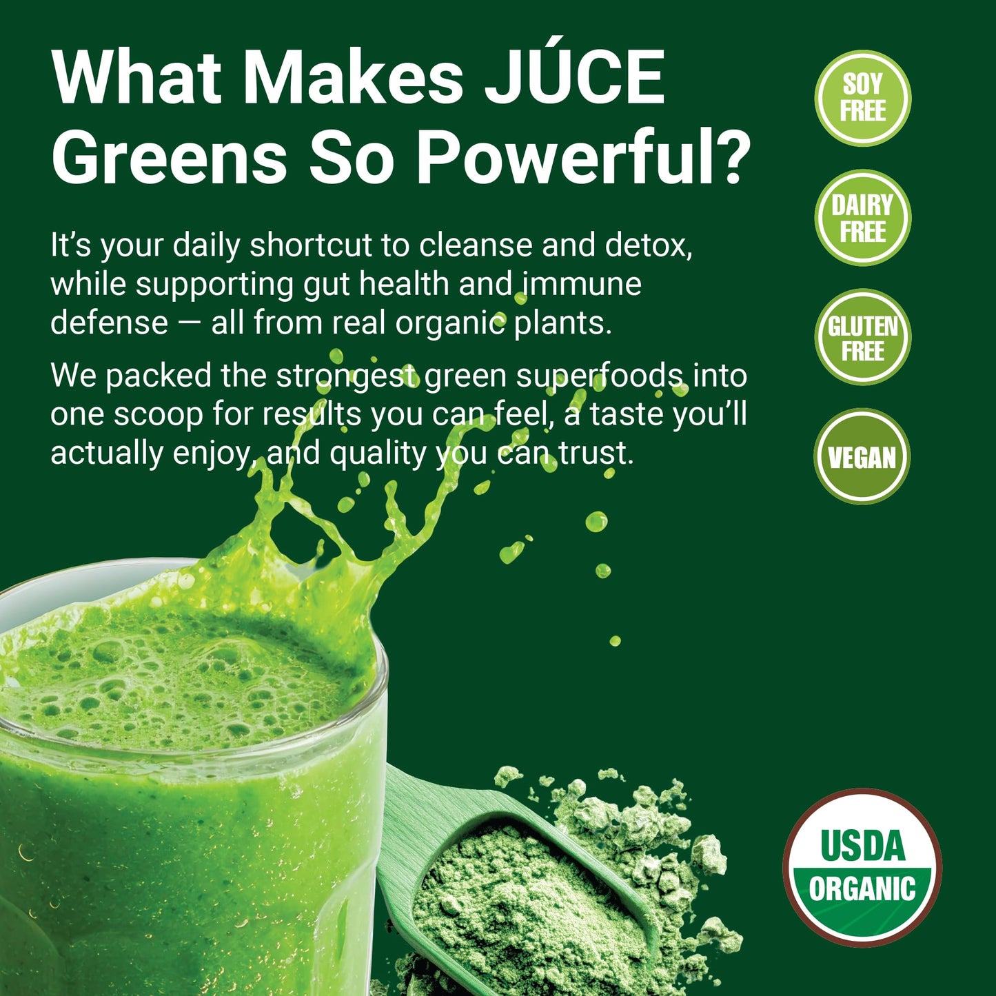 Terra Kai Organics JUCE Green Superfood Powder, 8.82 oz