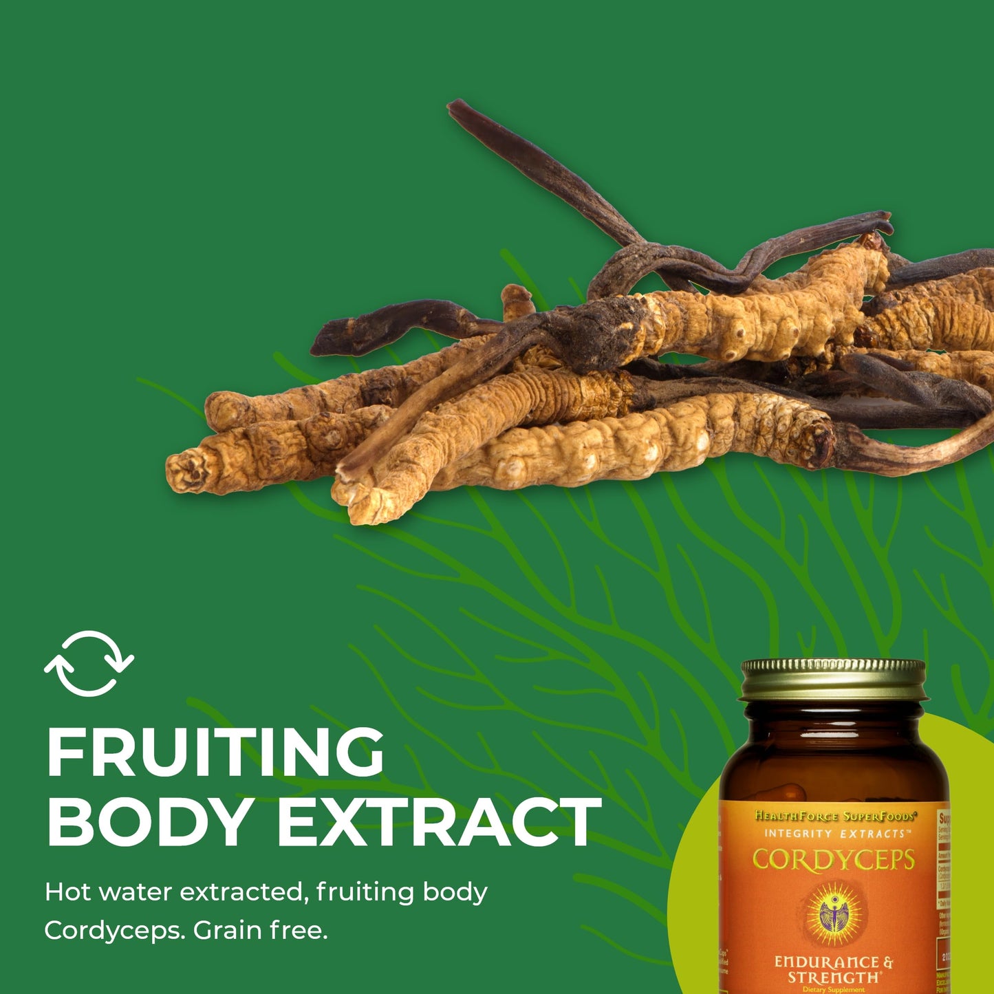 HealthForce SuperFoods Integrity Extracts Cordyceps Capsules, 90 Vegan Capsules