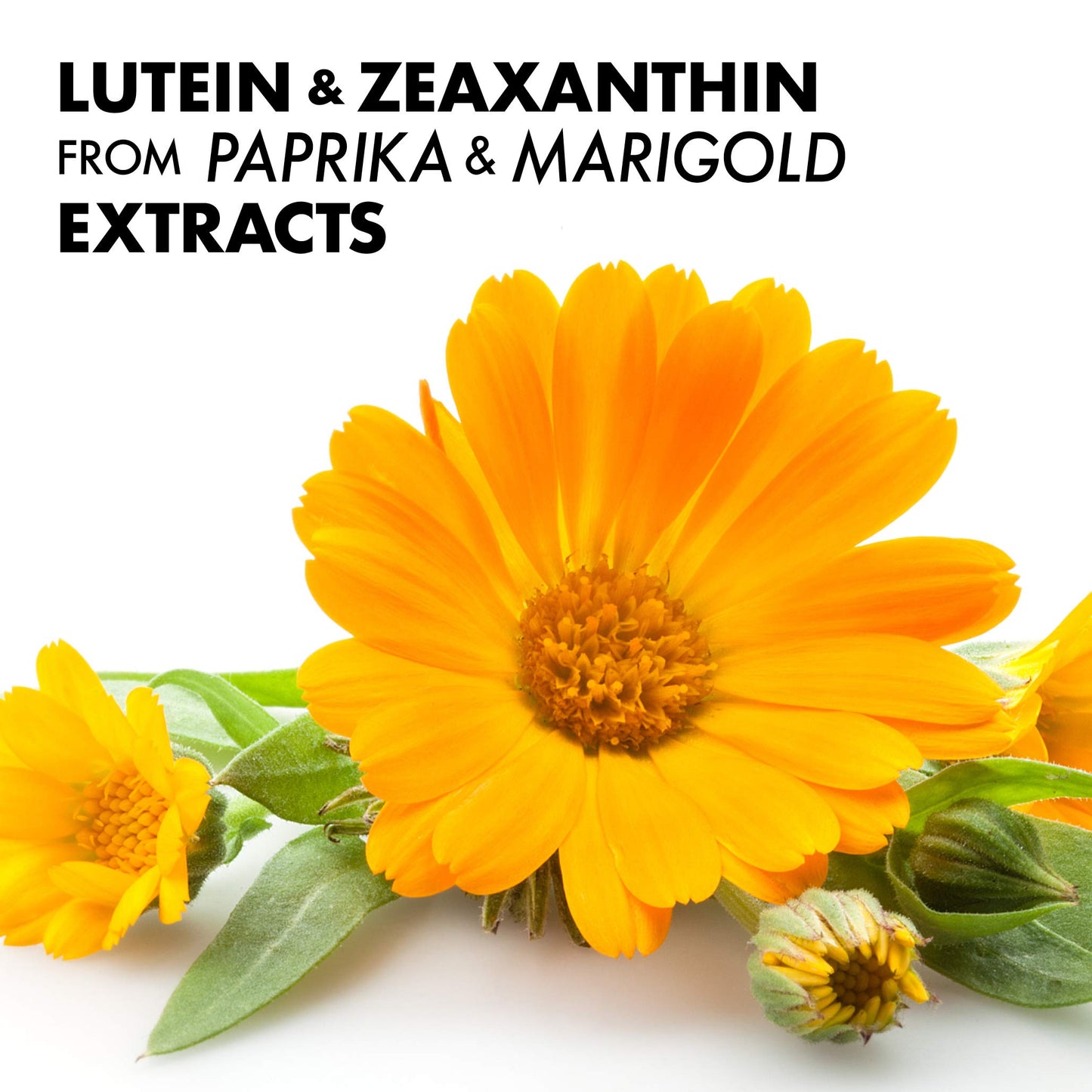 BlueBonnet Zeaxanthin & Lutein Eye Health Vegetarian Softgels, 60 Count