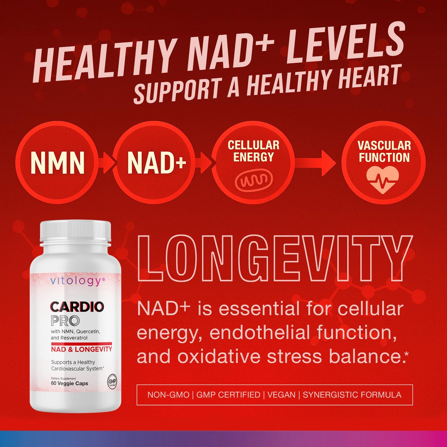 Vitology N.A.D.+ Longevity Cardiovascular Support Supplement with NMN, NR, Resveratrol, Fisetin, Quercetin, TMG & Apigenin, 60 Veggie Capsules