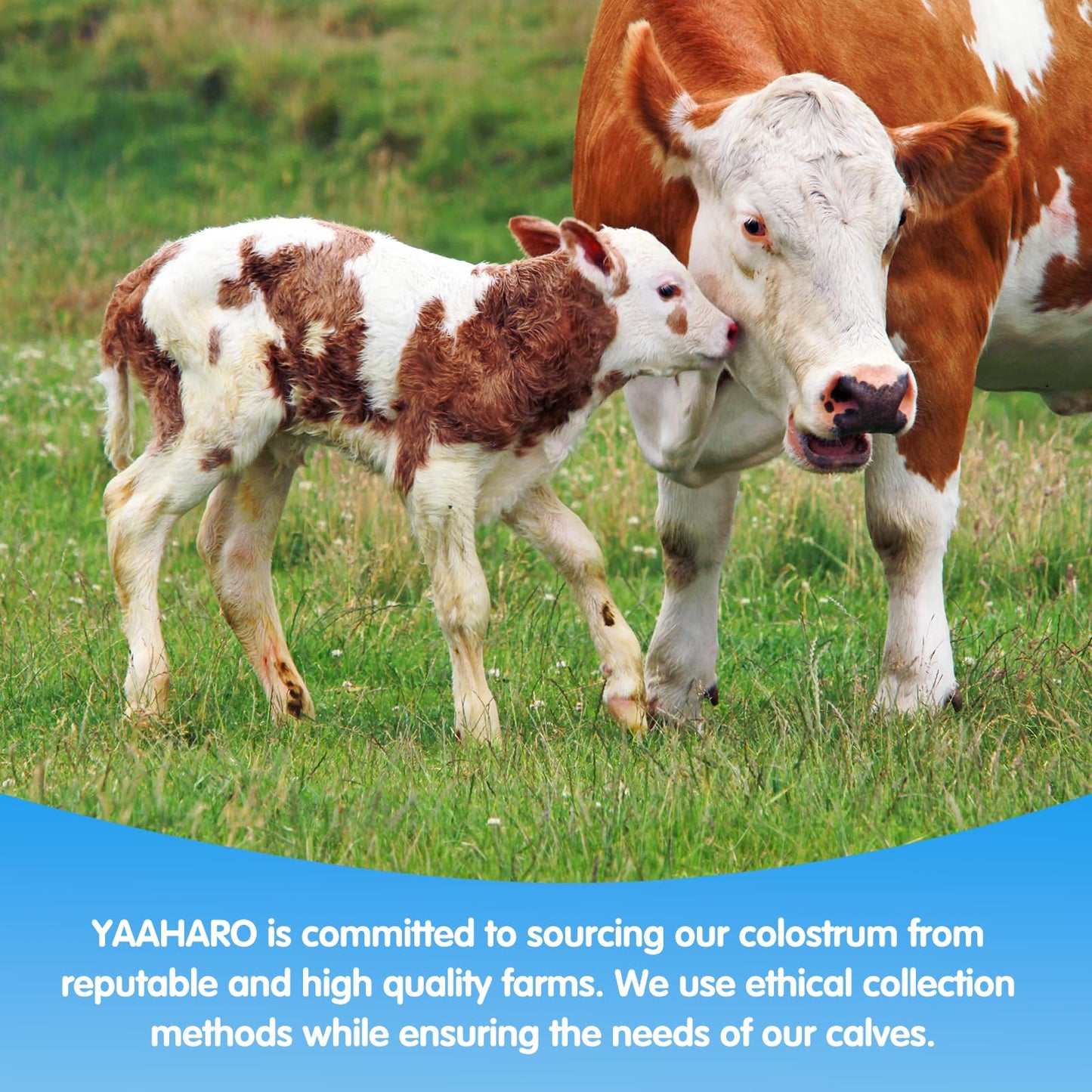 YAAHARO Colostrum Powder - Bovine Colostrum Supplement with Collagen Peptides, 4.23 oz