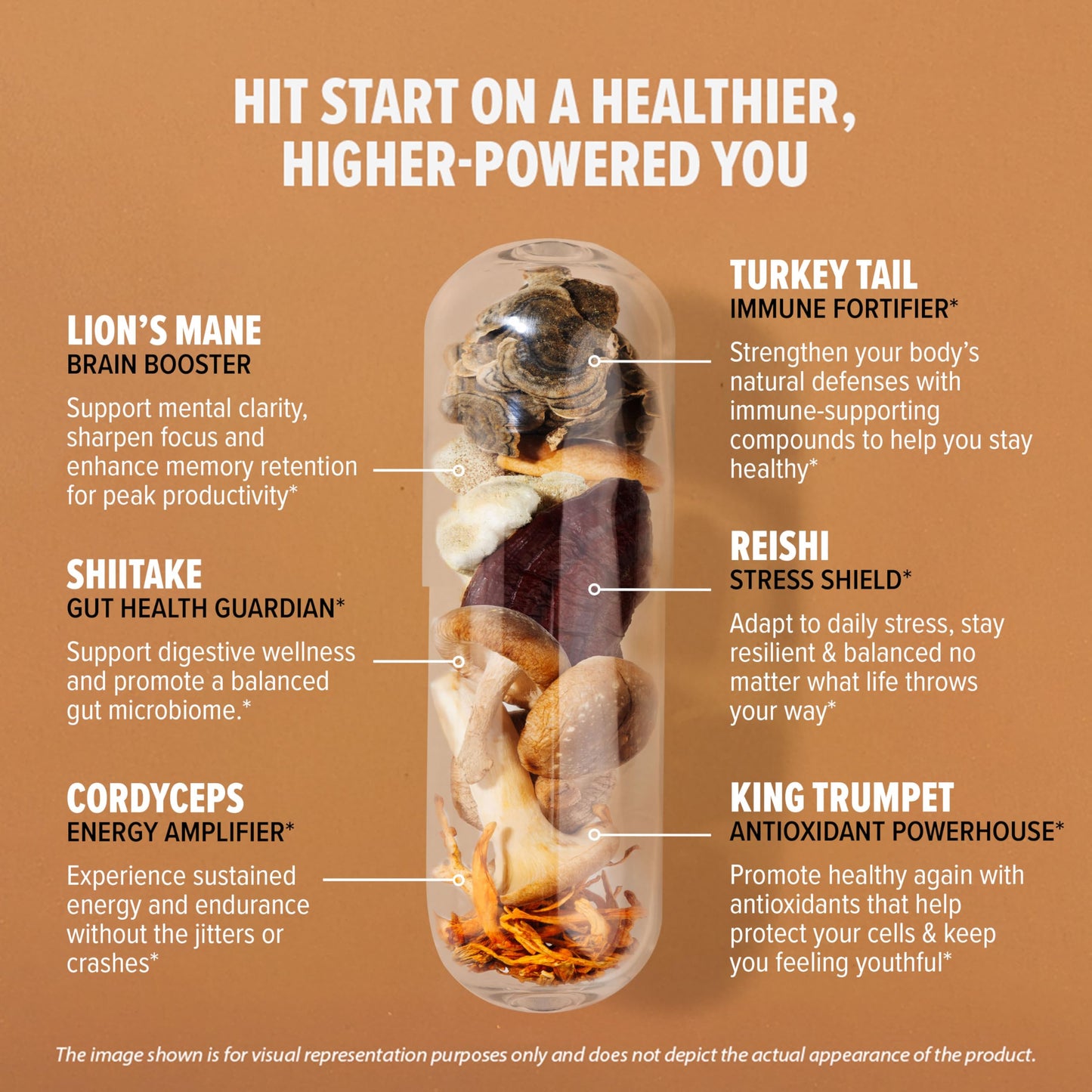 InnoSupps Inno Shroom Organic Mushroom Supplement Capsules 90 Count