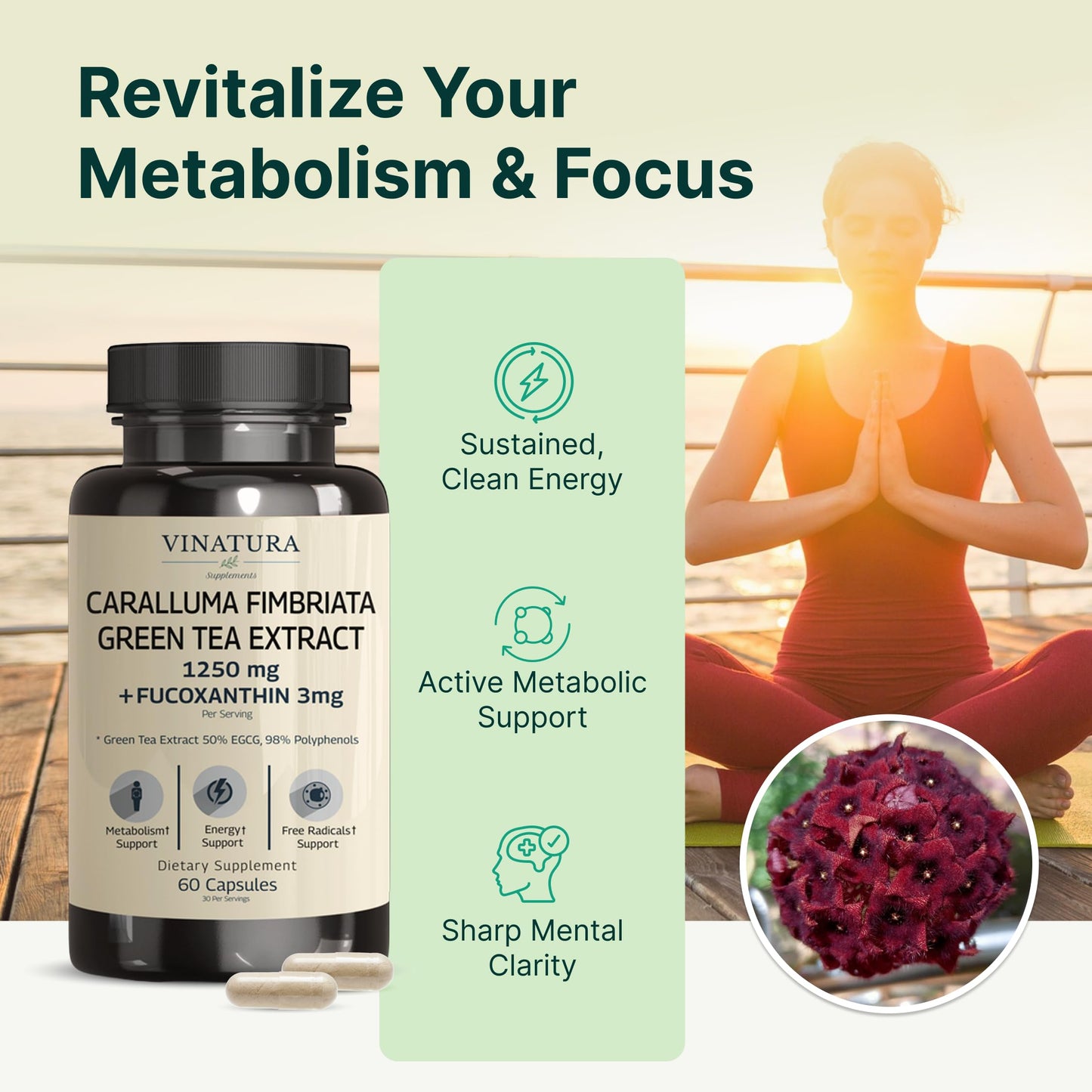 VINATURA Caralluma Fimbriata, EGCG 45% Extract 1250mg + Fucoxanthin 3mg per Serving Capsule, 60 Count