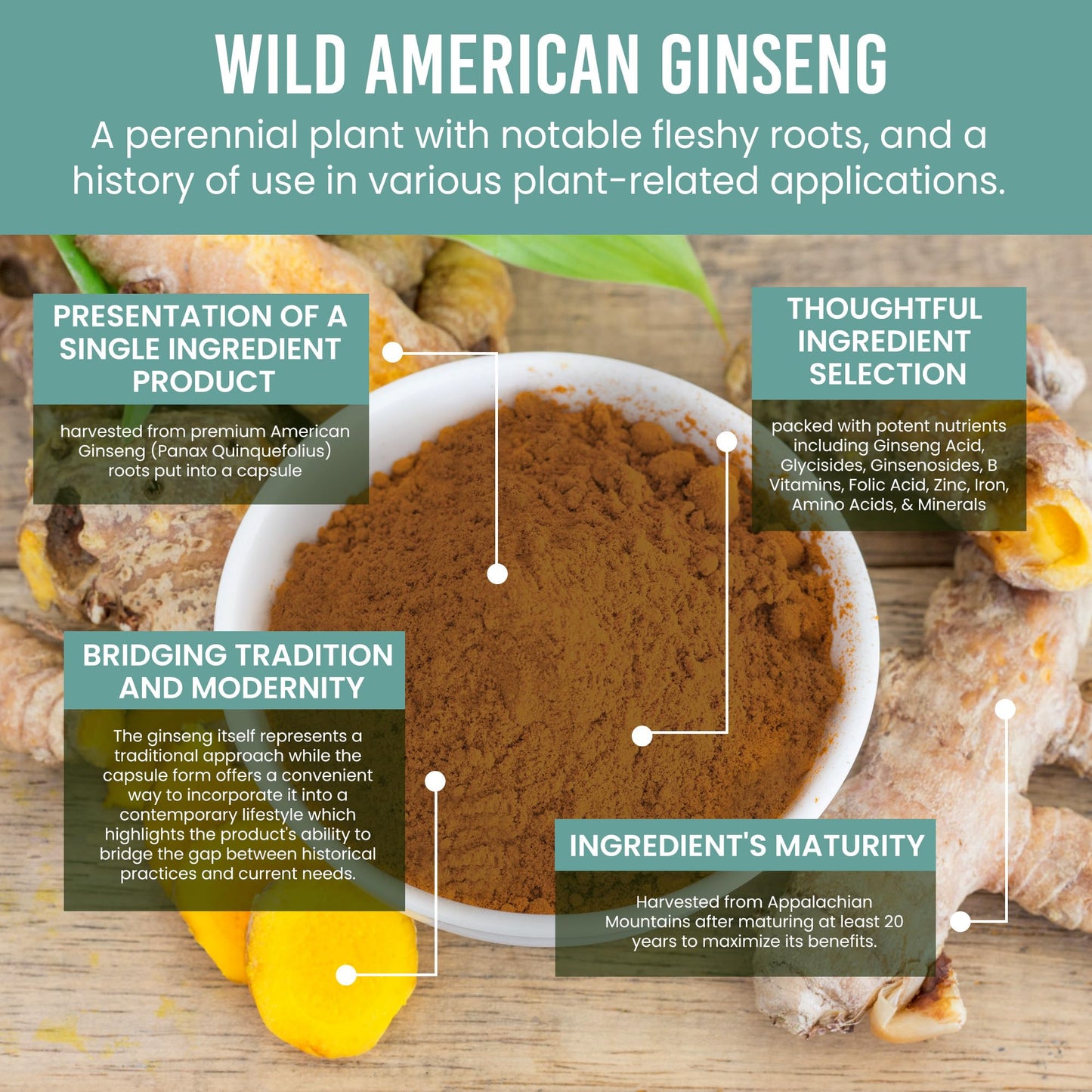 Holistic Bin Wild American Ginseng Capsules, 40 Capsules