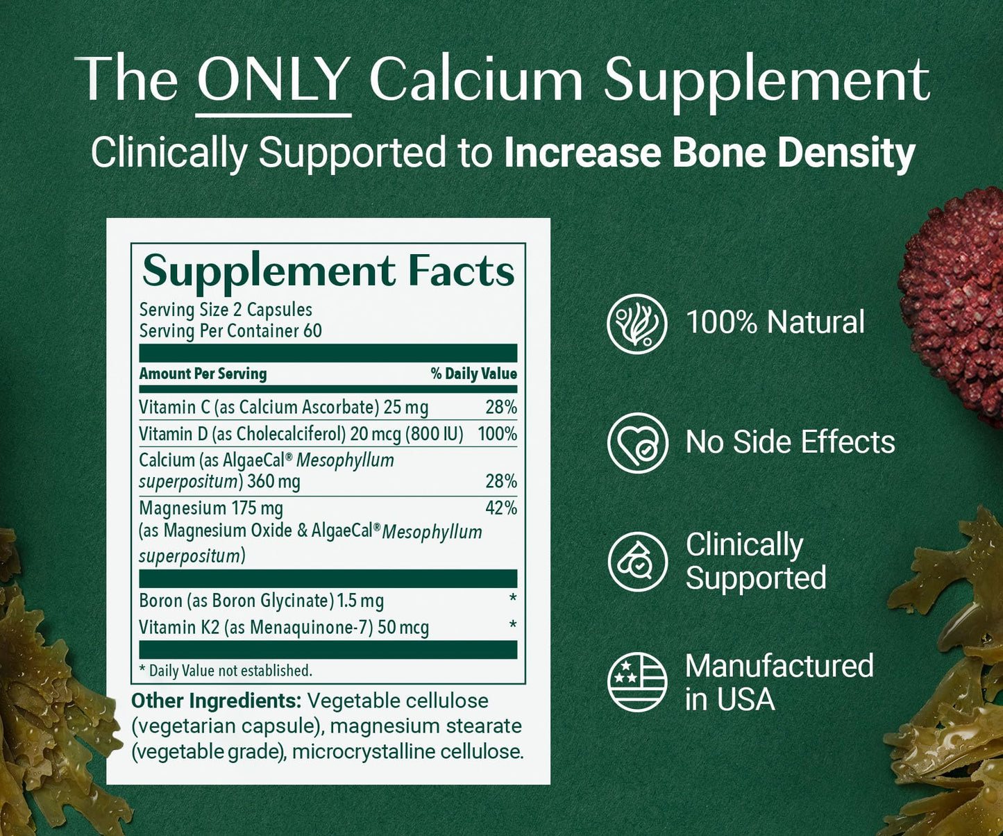 ALGAECAL Organic Red Algae Calcium Supplement Capsules, 360 Capsules