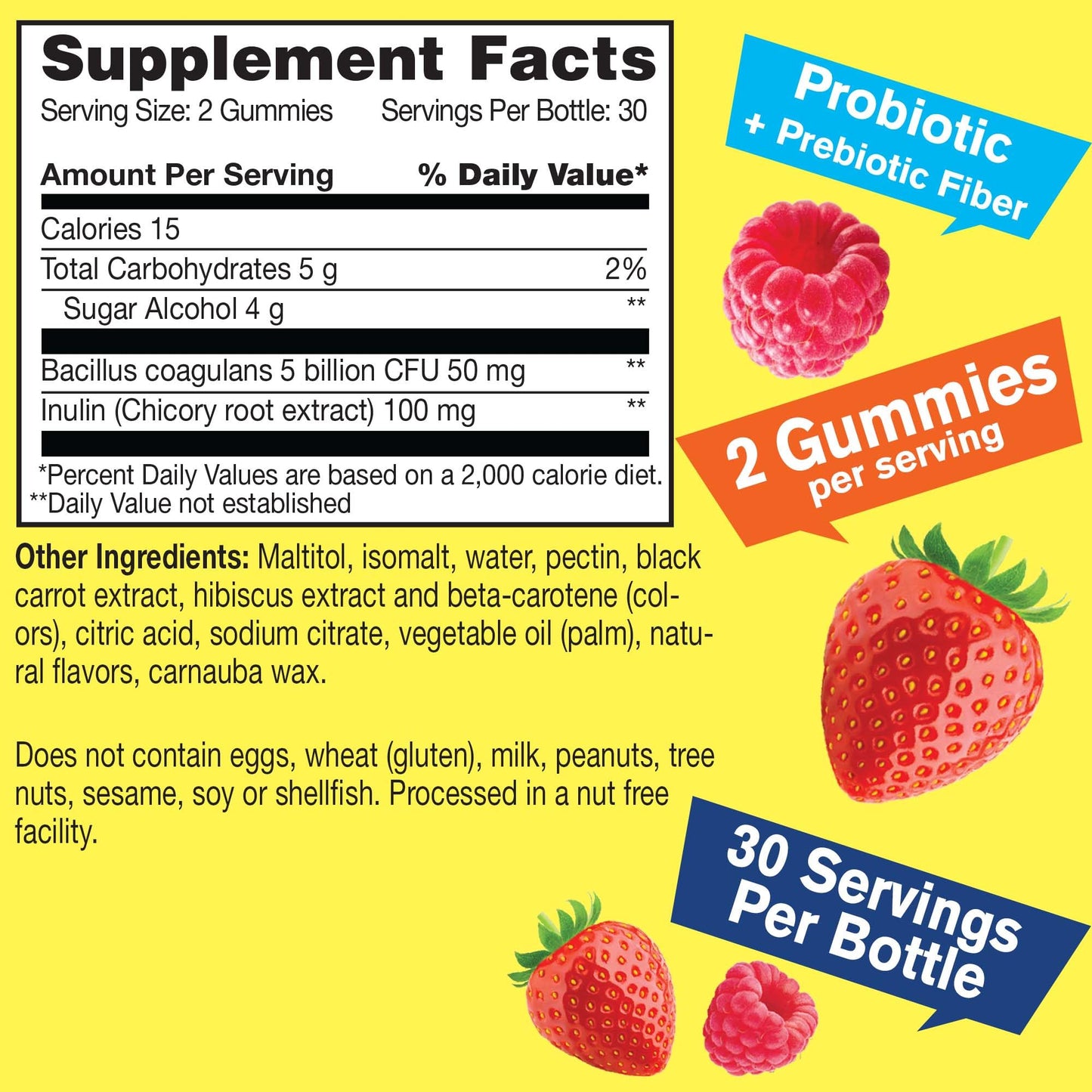 WellYeah Sugar Free Probiotic with Prebiotic Gummy 60 Count