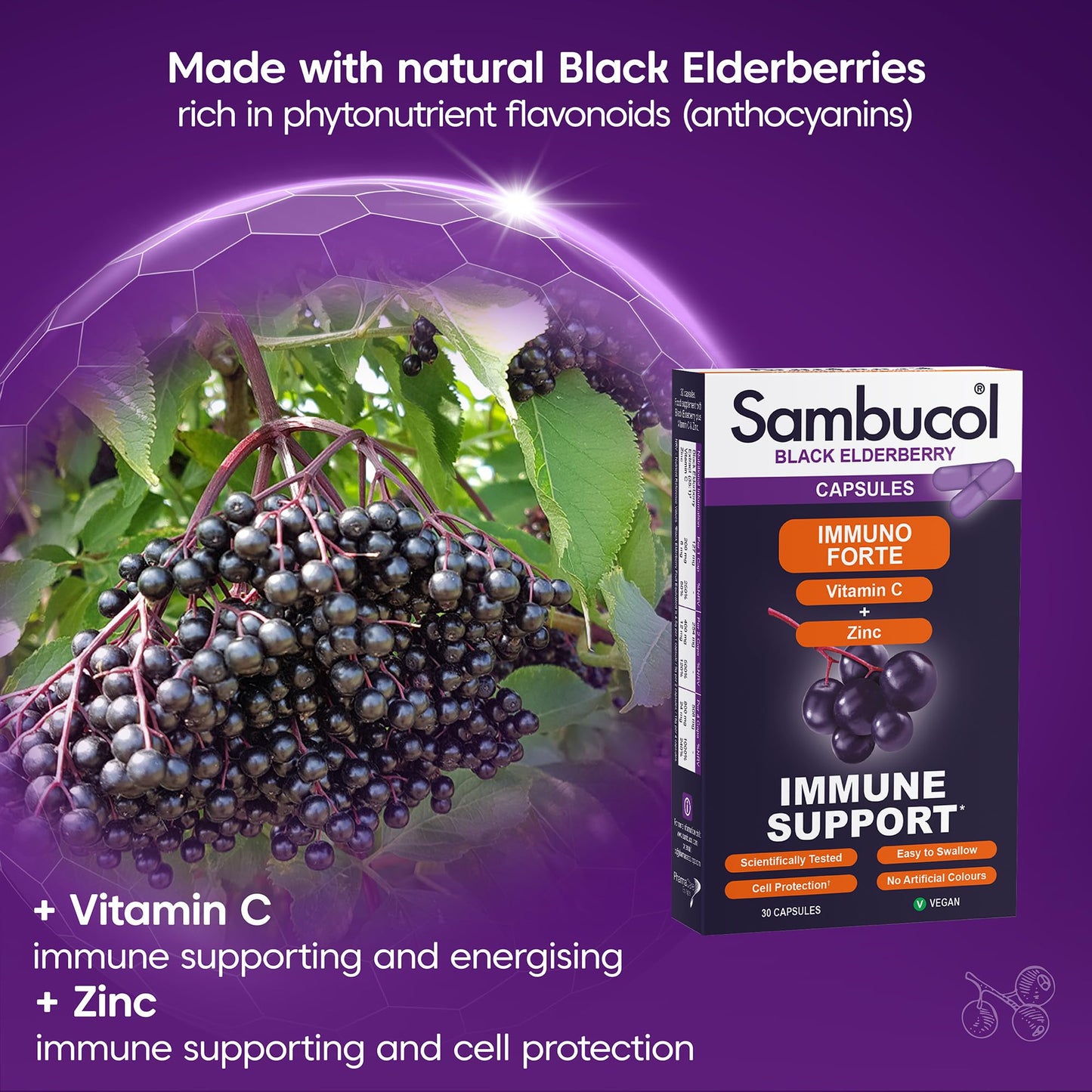 Sambucol Immuno Forte Capsules, 1 Count