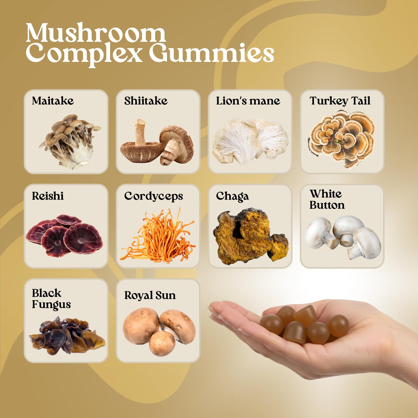VITA GLOBE Mushroom Complex Lions Mane, Reishi & Chaga, Non-GMO, 120 Gummies