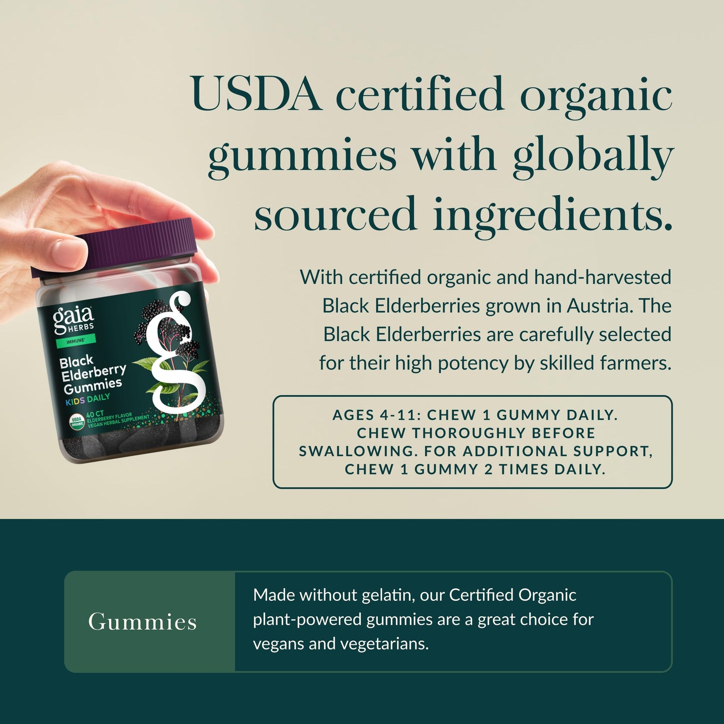 Gaia Herbs Black Elderberry Daily Gummies for Kids Capsules 40 Count