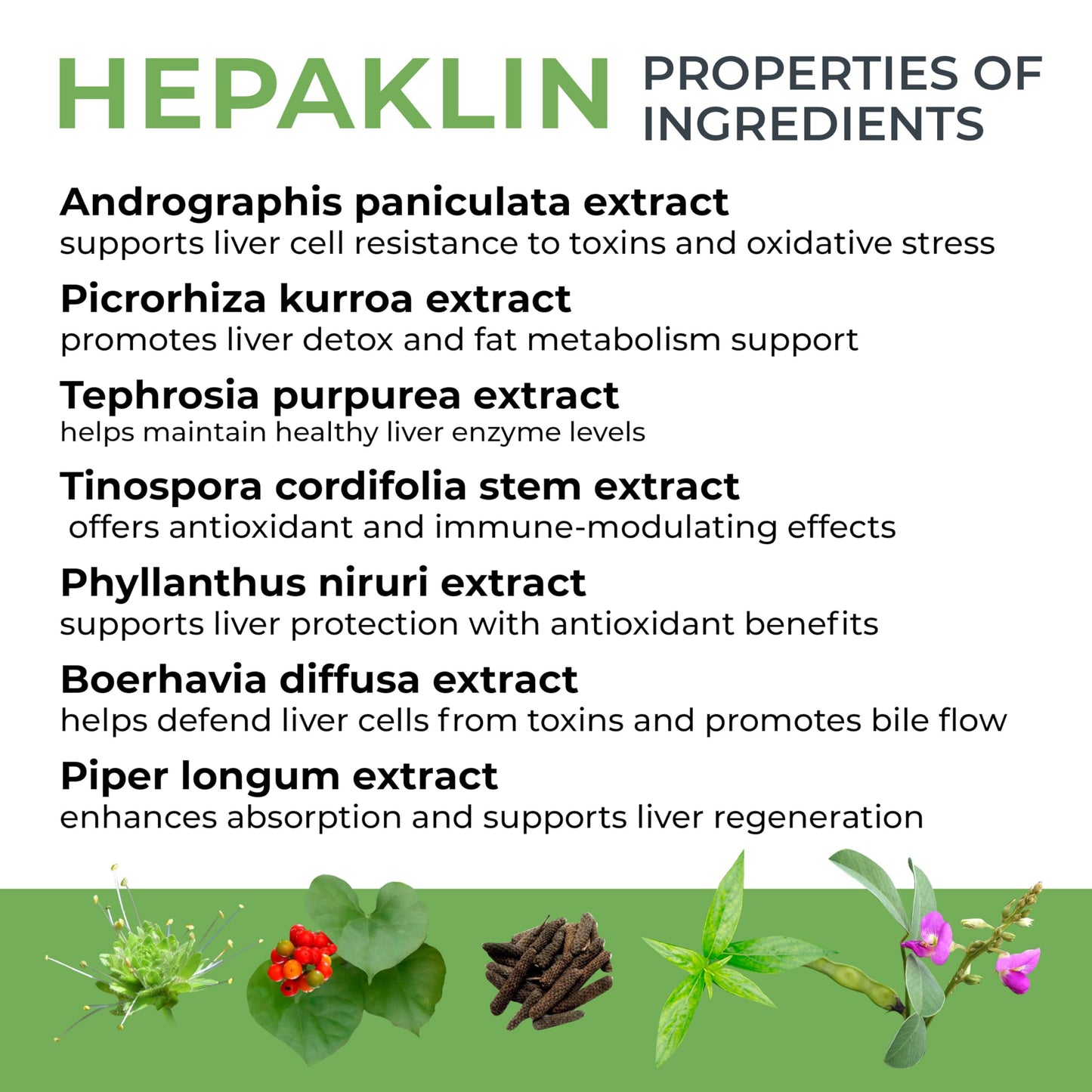 Ananta Medicare USA Hepaklin - Herbal Liver Health Supplement, Supports Detoxification, Liver Function & Digestive Wellness, 120 Tablets