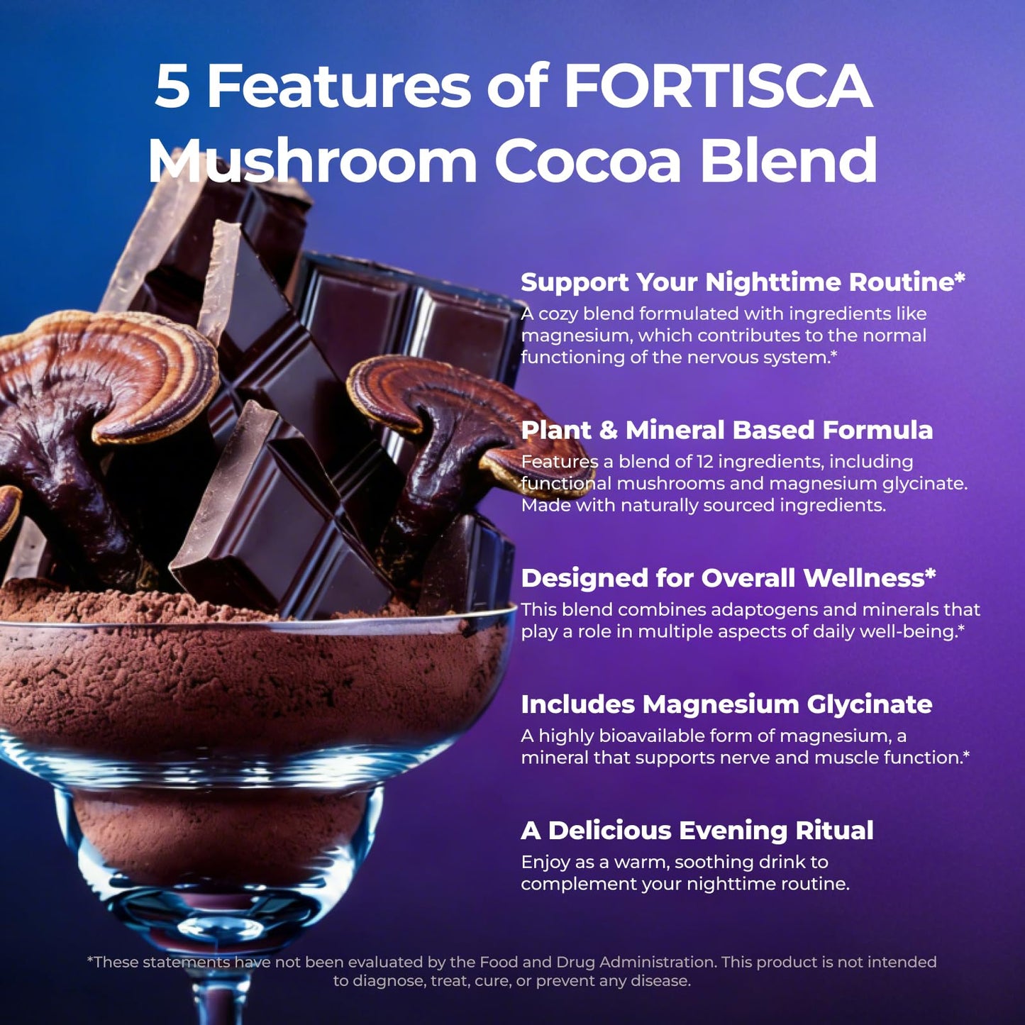 FORTISCA Mushroom Hot Cocoa Powder 7.41 Ounce