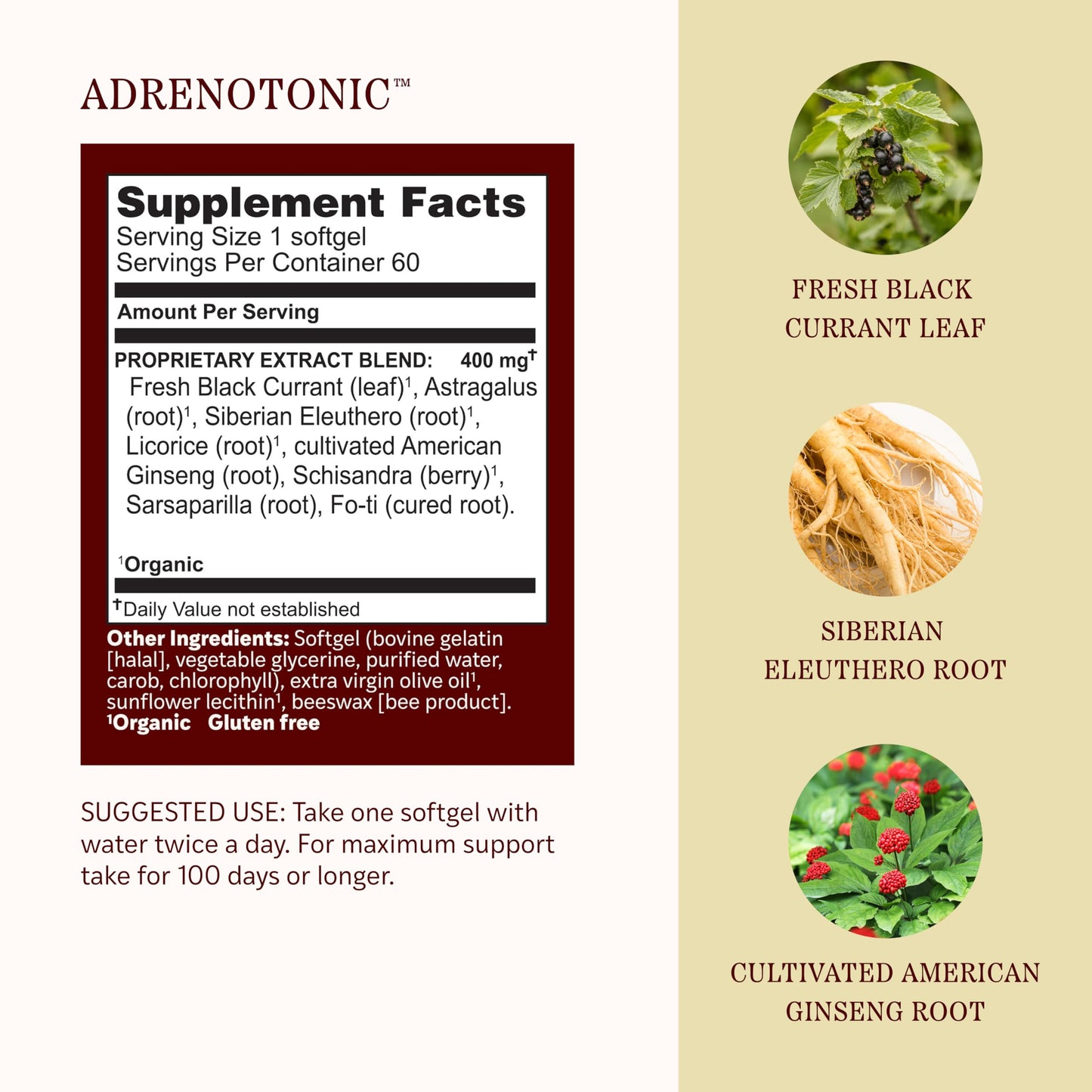 Herbs Etc. Adrenotonic Softgels 60 Count