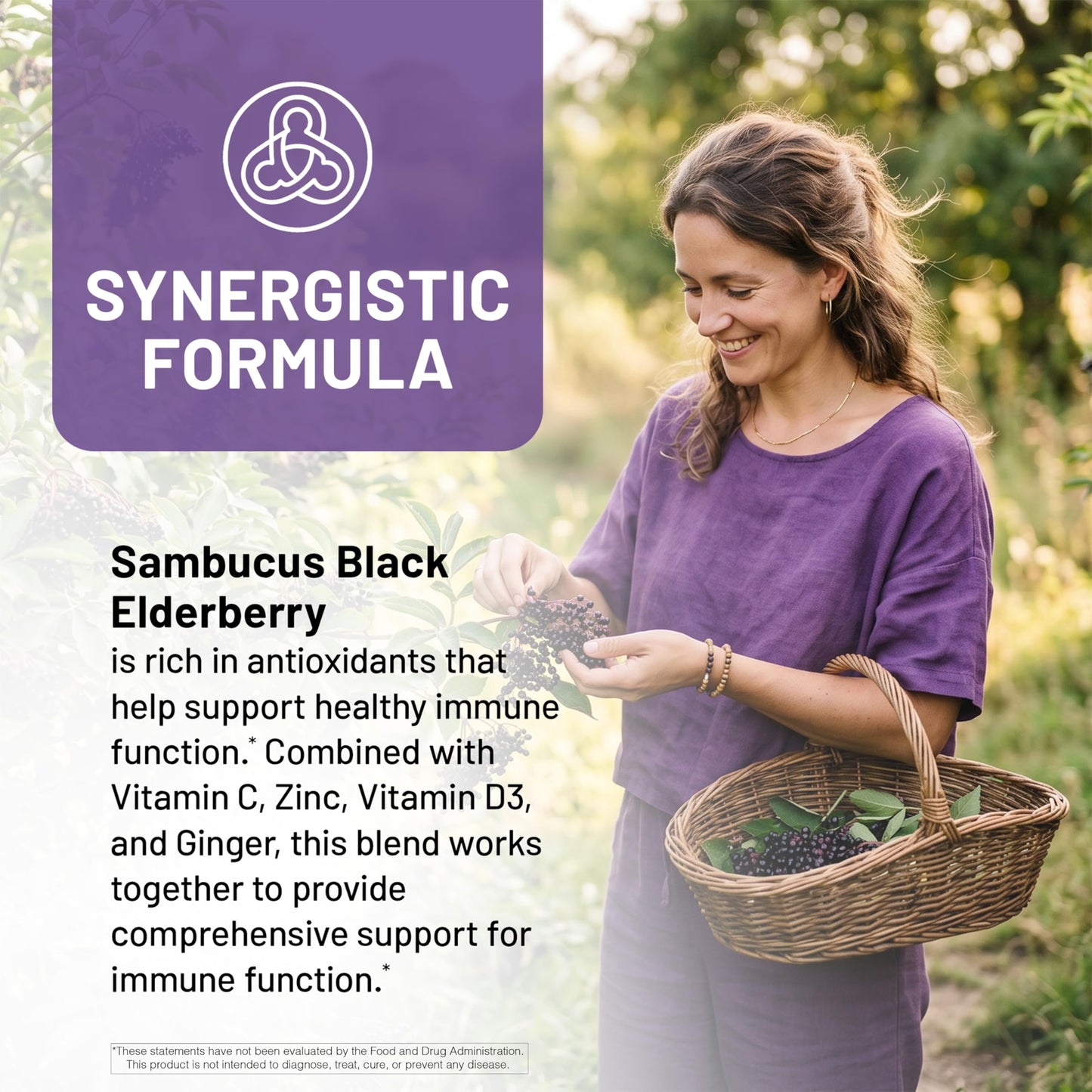 NatureWise Elderberry Vitamin C and Zinc for Adults - Sambucus Black Elderberry and Ginger & Vitamin D3 5000IU - 5 in 1 Immune Support - Non-GMO - USA Manufactured - 120 Capsules