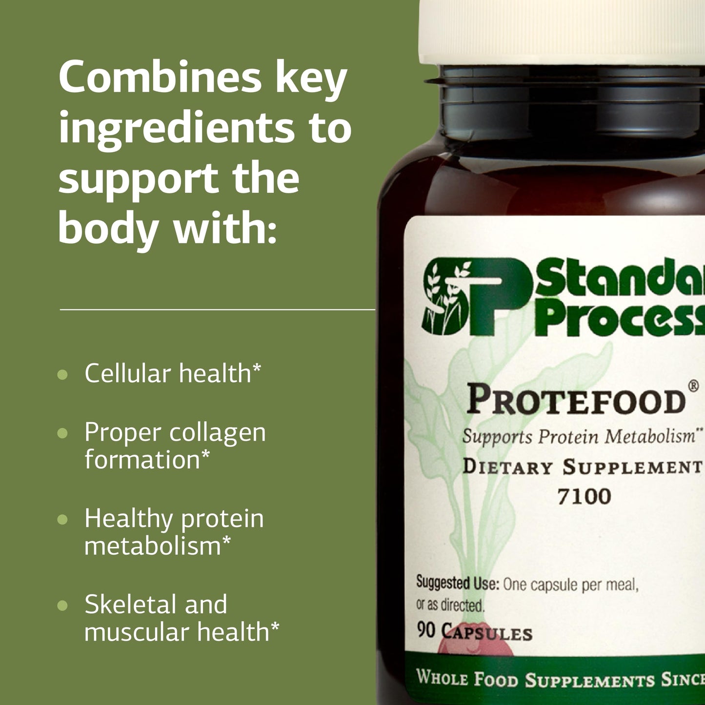 Standard Process Inc Protefood Protein Metabolism Support Tablet 90 Count