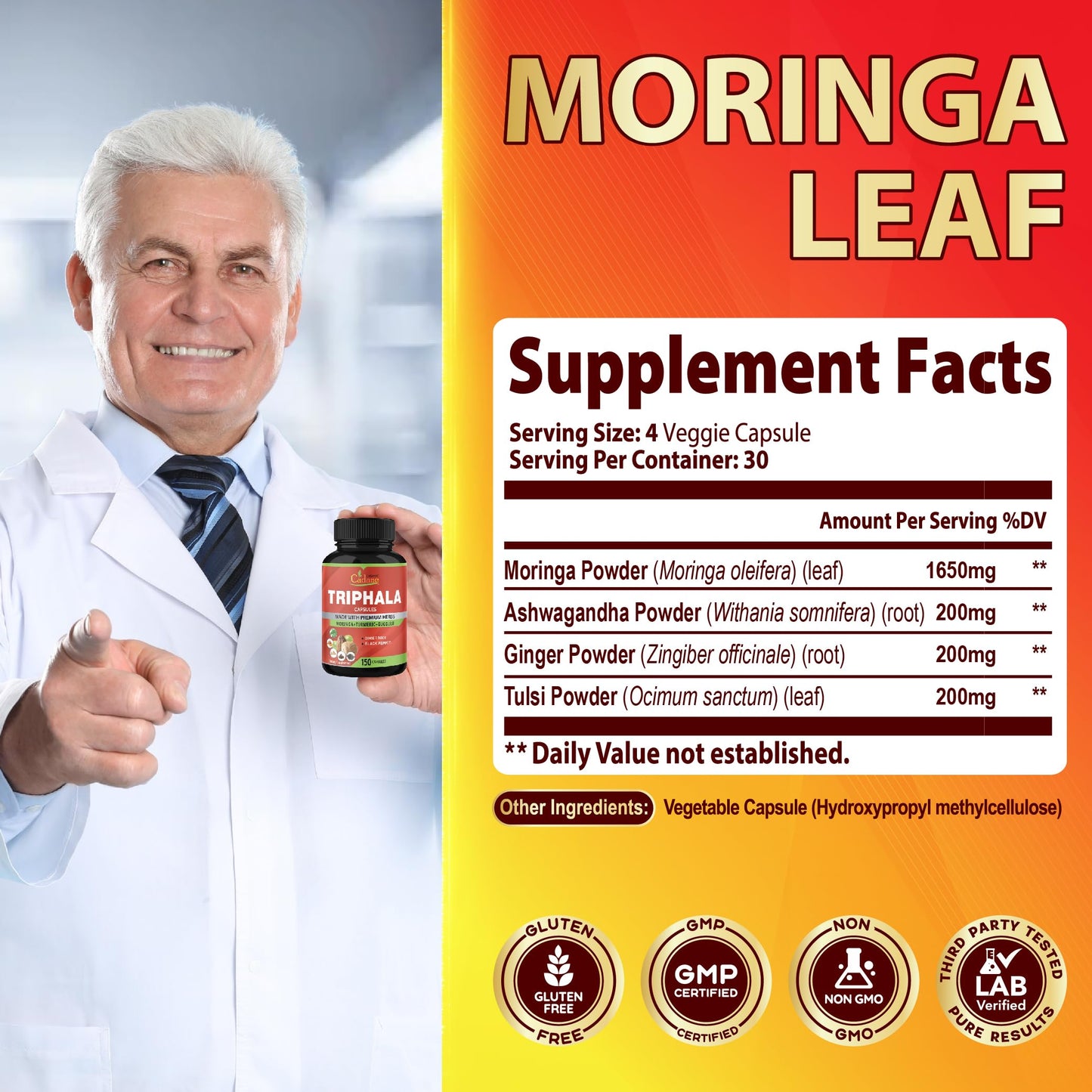 Organic Cadane Moringa Powder Capsules 4in1 with Ashwagandha, Ginger, Holy Basil Tulsi Immune Support Oleifera Leaf Powder Herb Supplements 120 Capsules