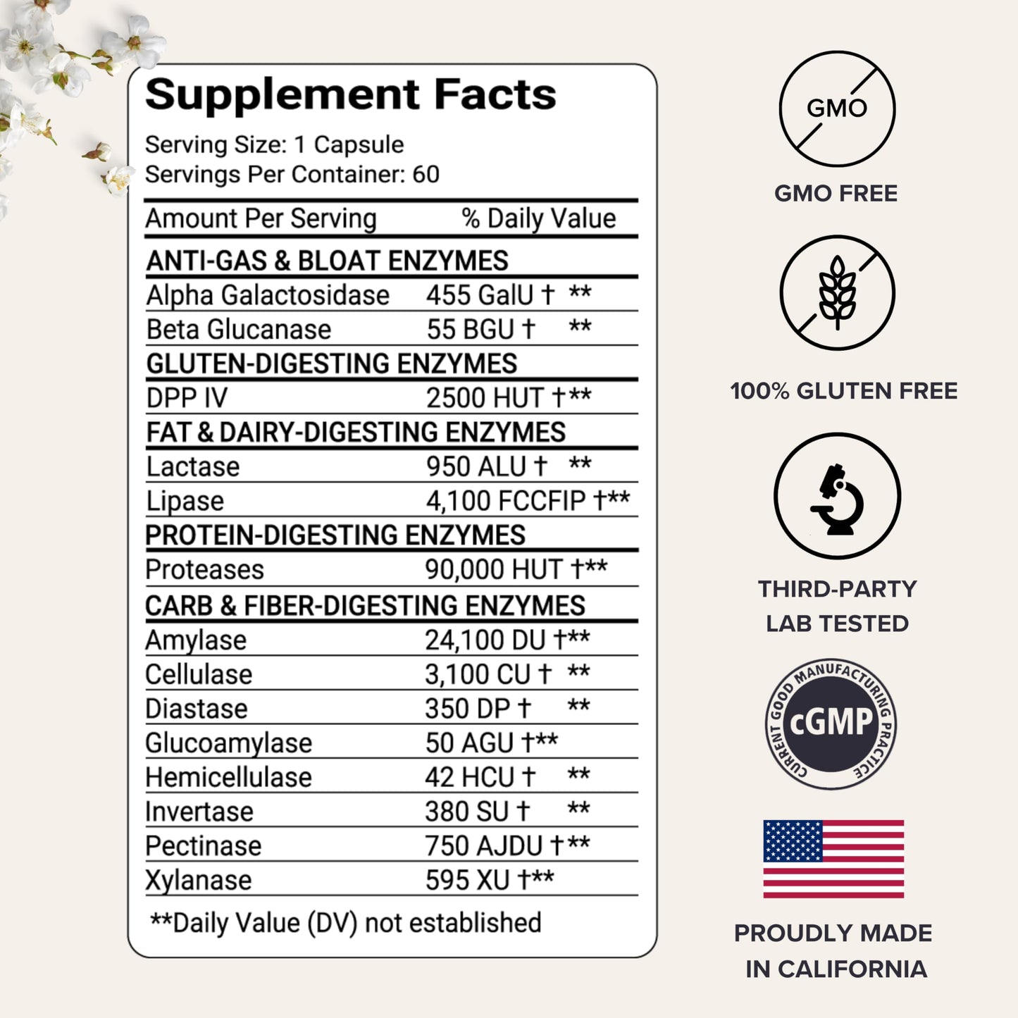 AEVA Digestive Enzymes Capsule 60 Count