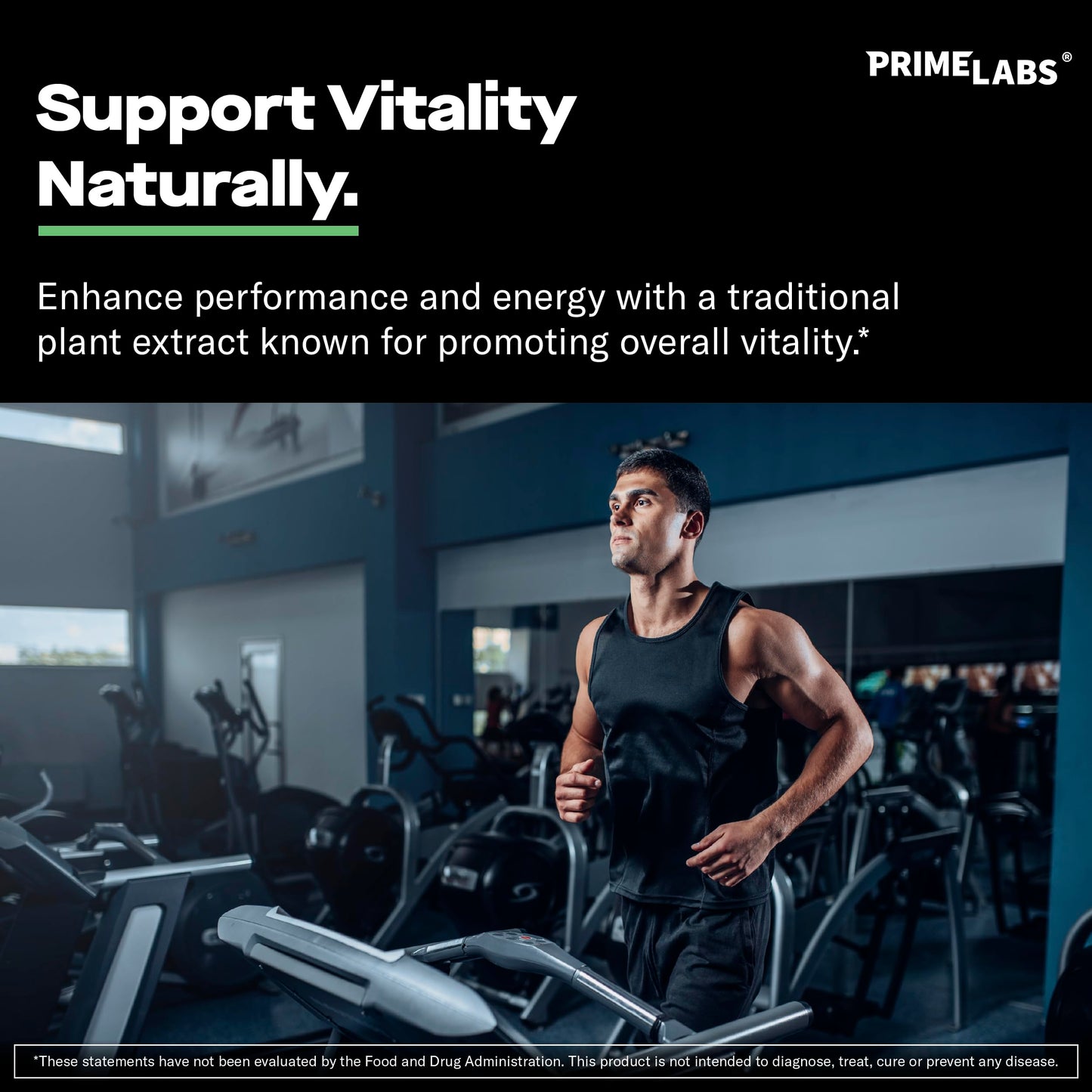 Prime Labs Fadogia Agrestis for Men Capsules, 180 Capsules