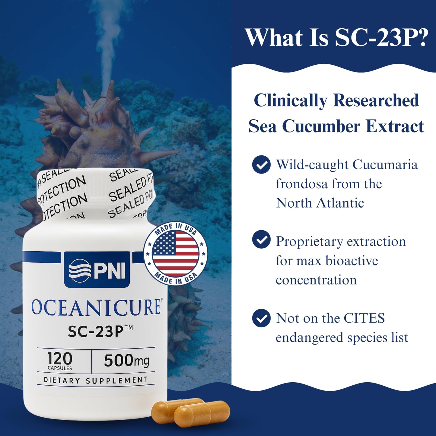 Oceanicure SC-23P Advanced Sea Cucumber Bioactive Extract Capsule, 1 Count