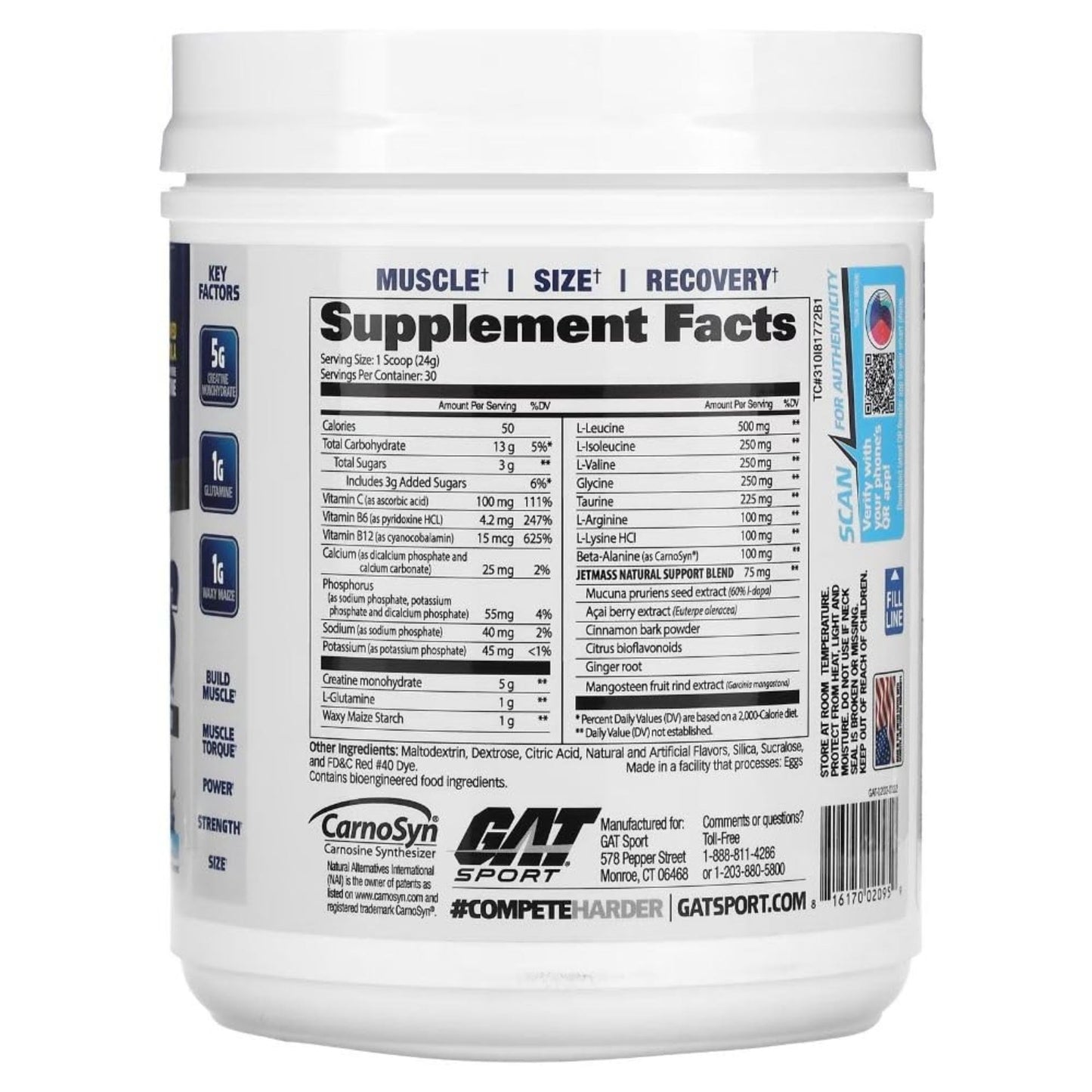 GAT SPORT JetMass Fact-Acting Volumizing Creatine System Powder 25