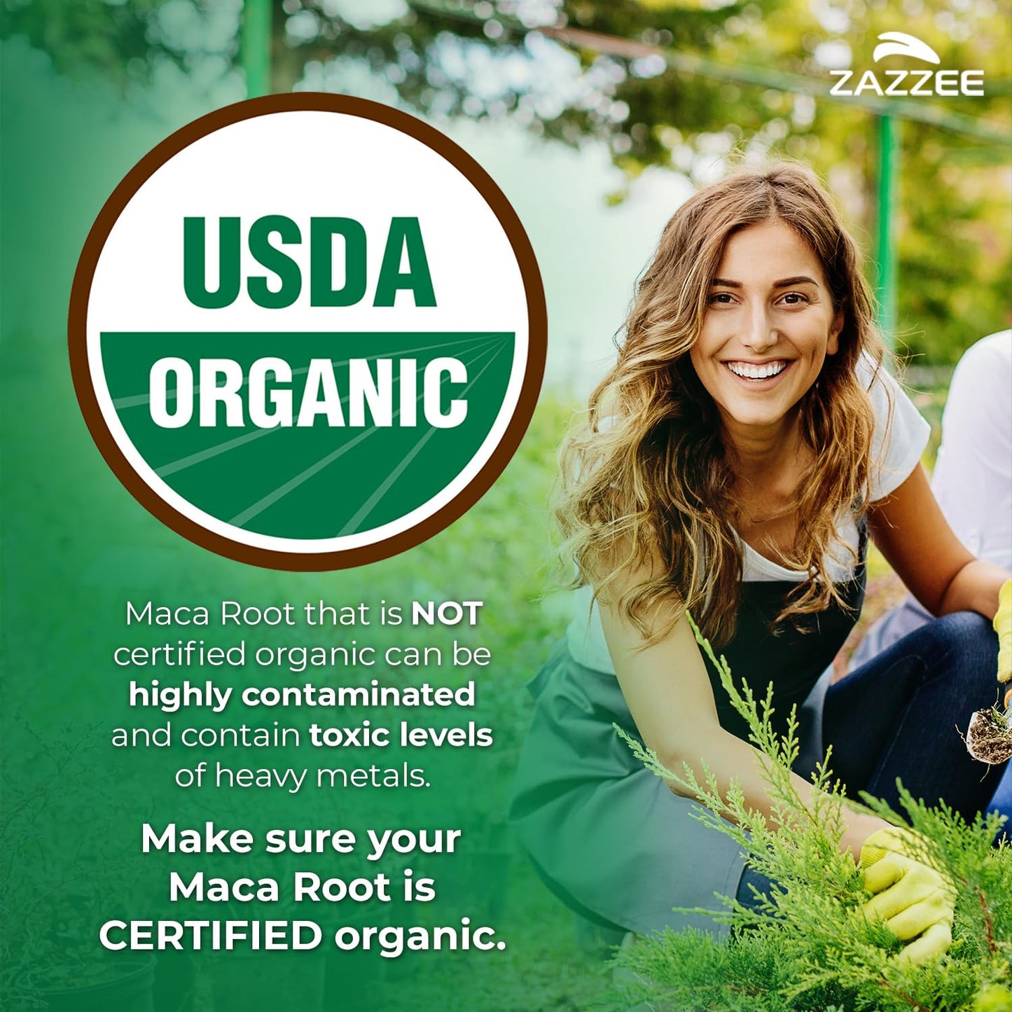 Zazzee USDA Organic Maca Root 10:1 Extract Capsule 120 Count