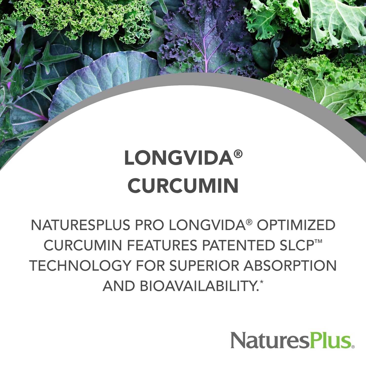 NaturesPlus PRO Longvida Curcumin 60 Tablets