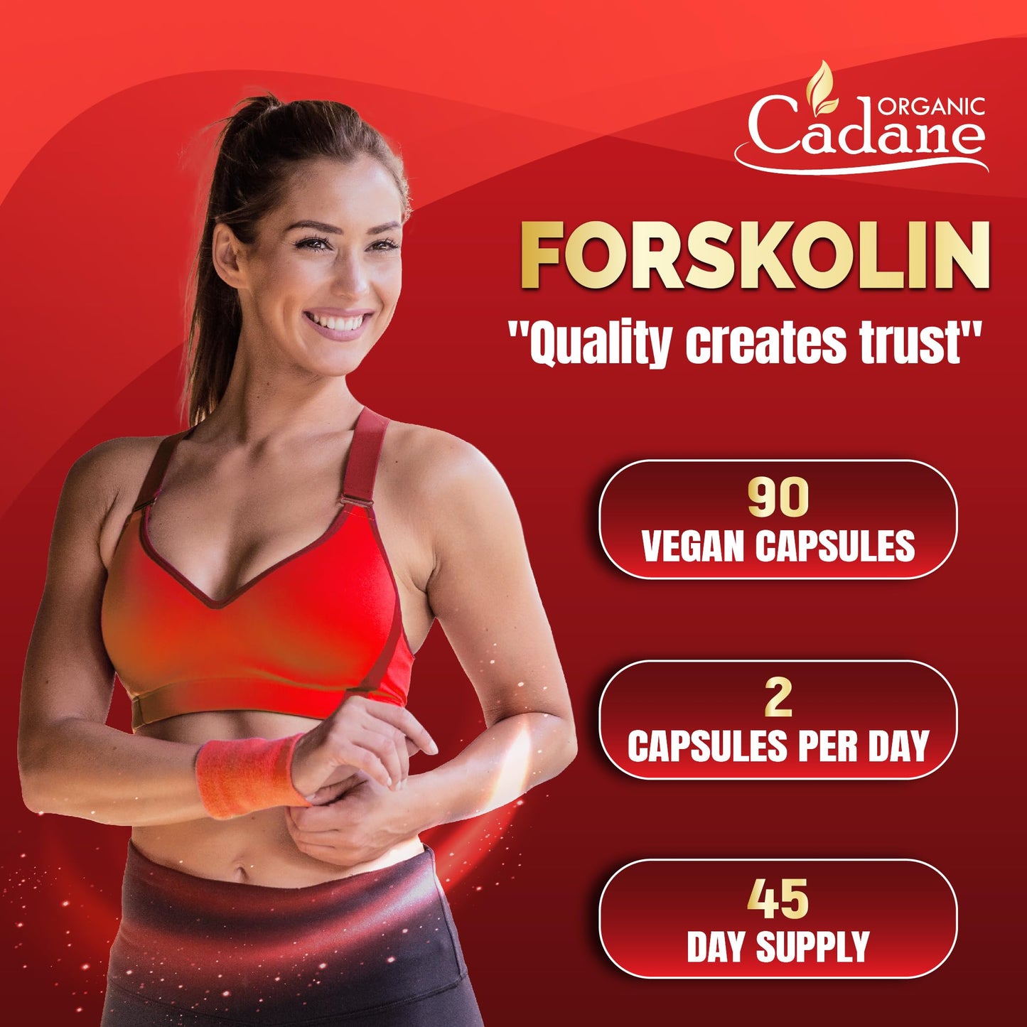 Organic Cadane Forskolin Supplement with Coenzyme Q10 & Grape Seed Extract 90 Capsules