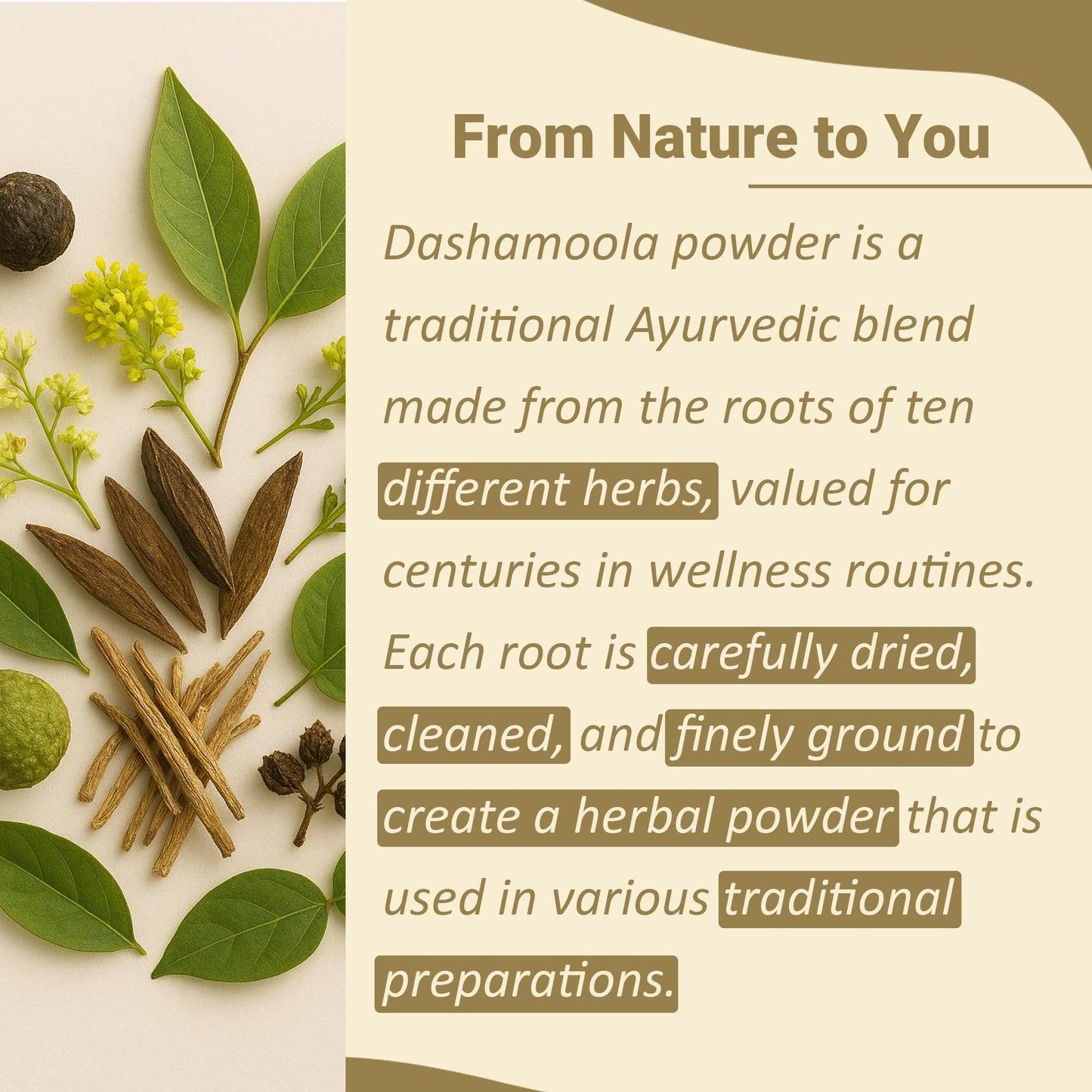 Minature Dashamoola Powder 8 oz