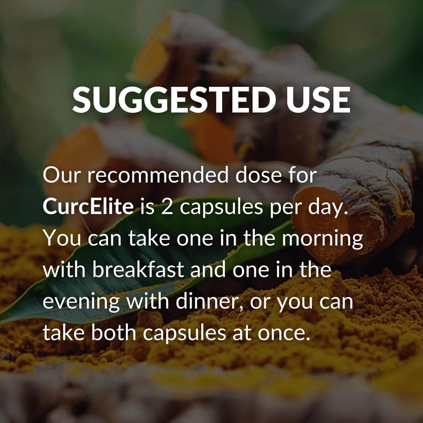 BrocElite CurcElite Curcumin Turmeric Extract 95% Curcuminoids Capsules 60 Count