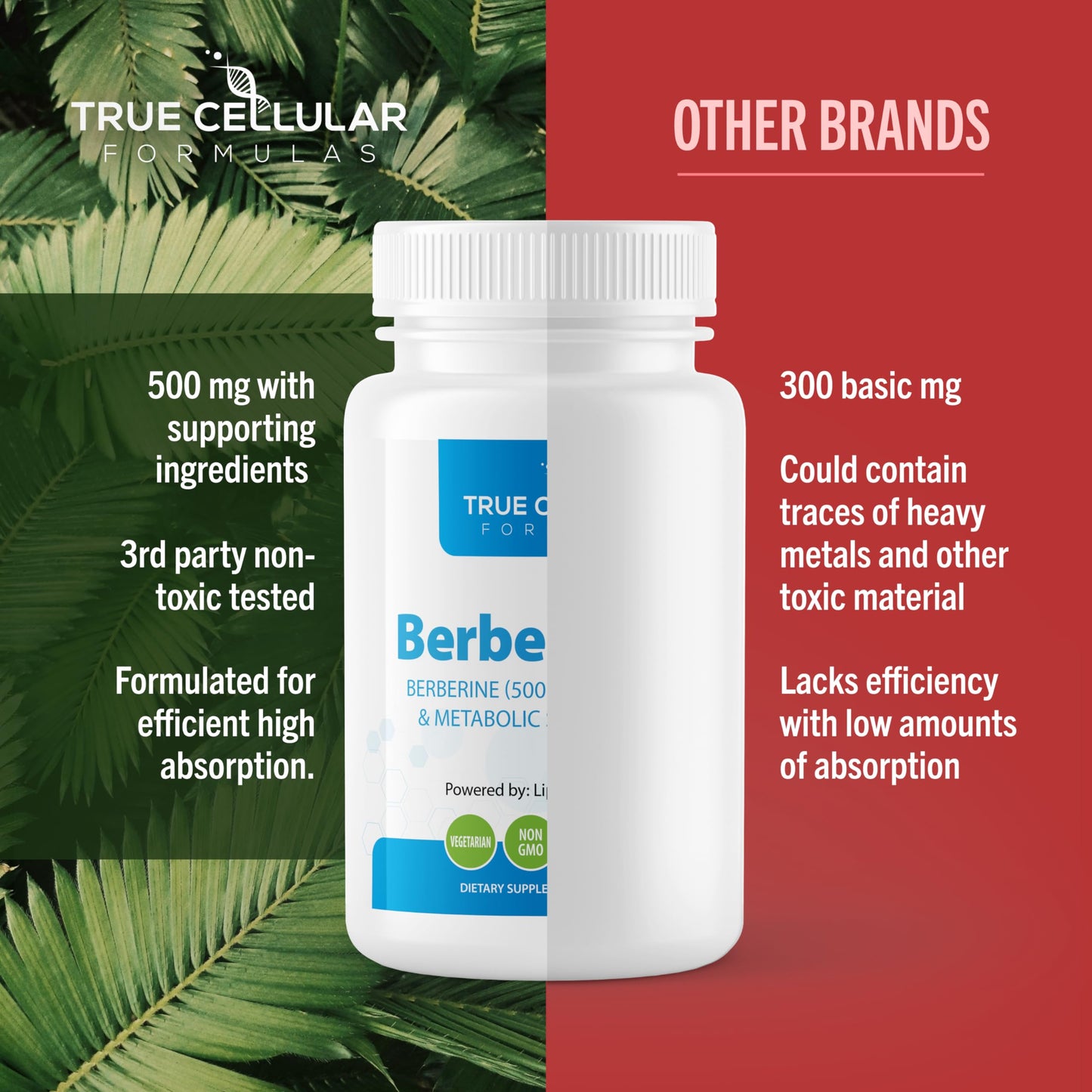 True Cellular Formulas BerberBurn+ Berberine Supplement, Magnesium & Chromium Capsules, 60 Count