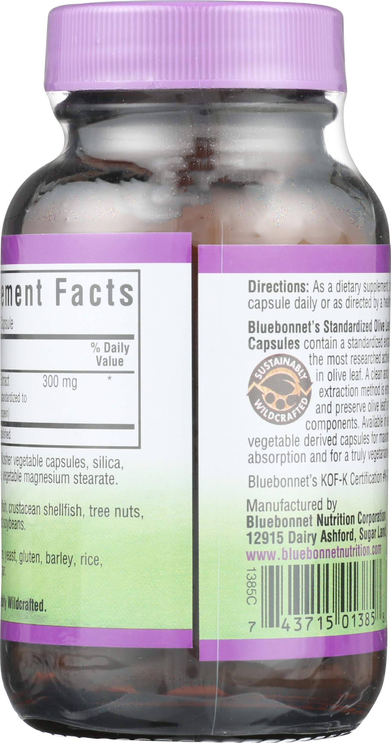 BlueBonnet Olive Leaf Extract Capsules, 60 Capsules