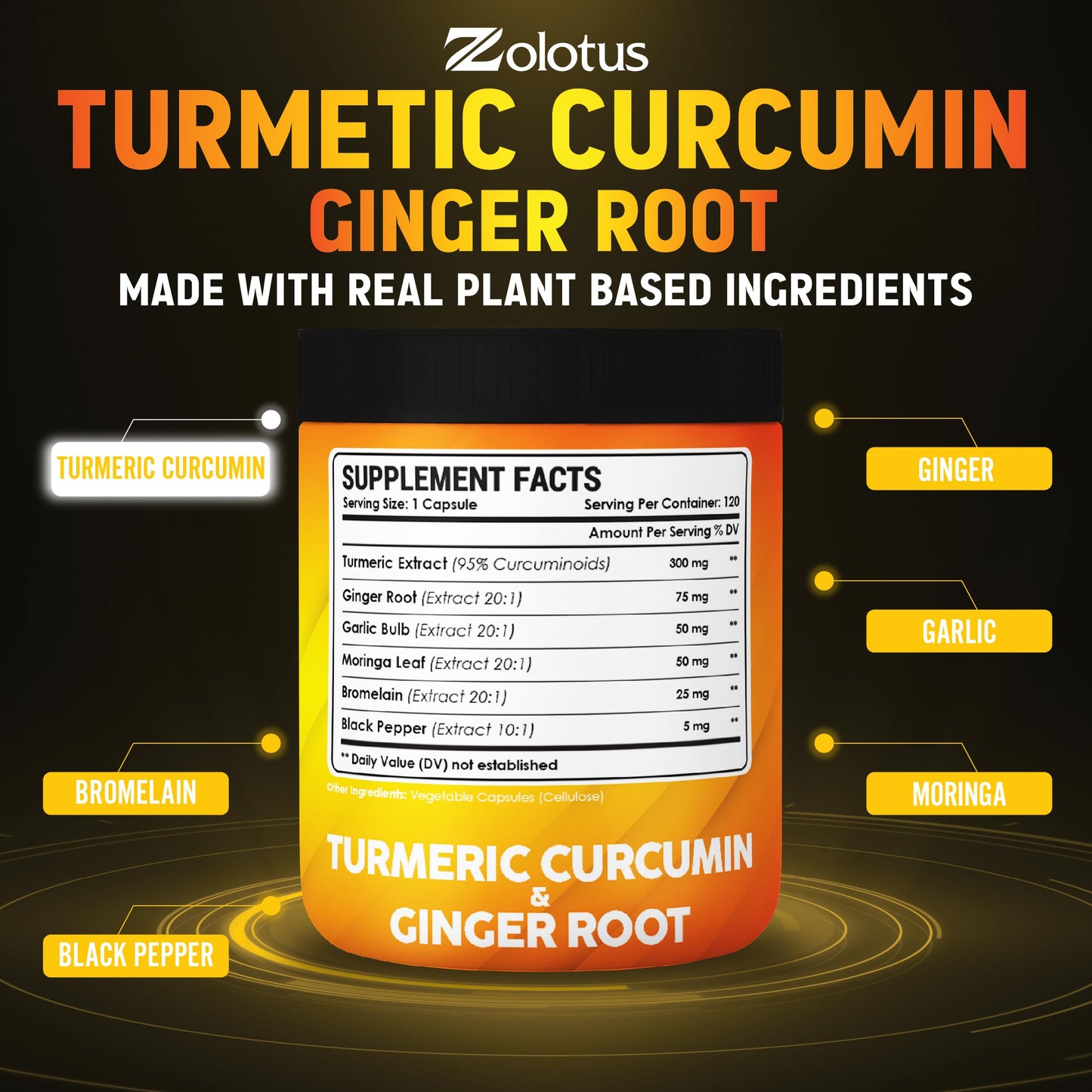 Zolotus 6 in 1 Turmeric Curcumin + Ginger Capsules, 120 Count