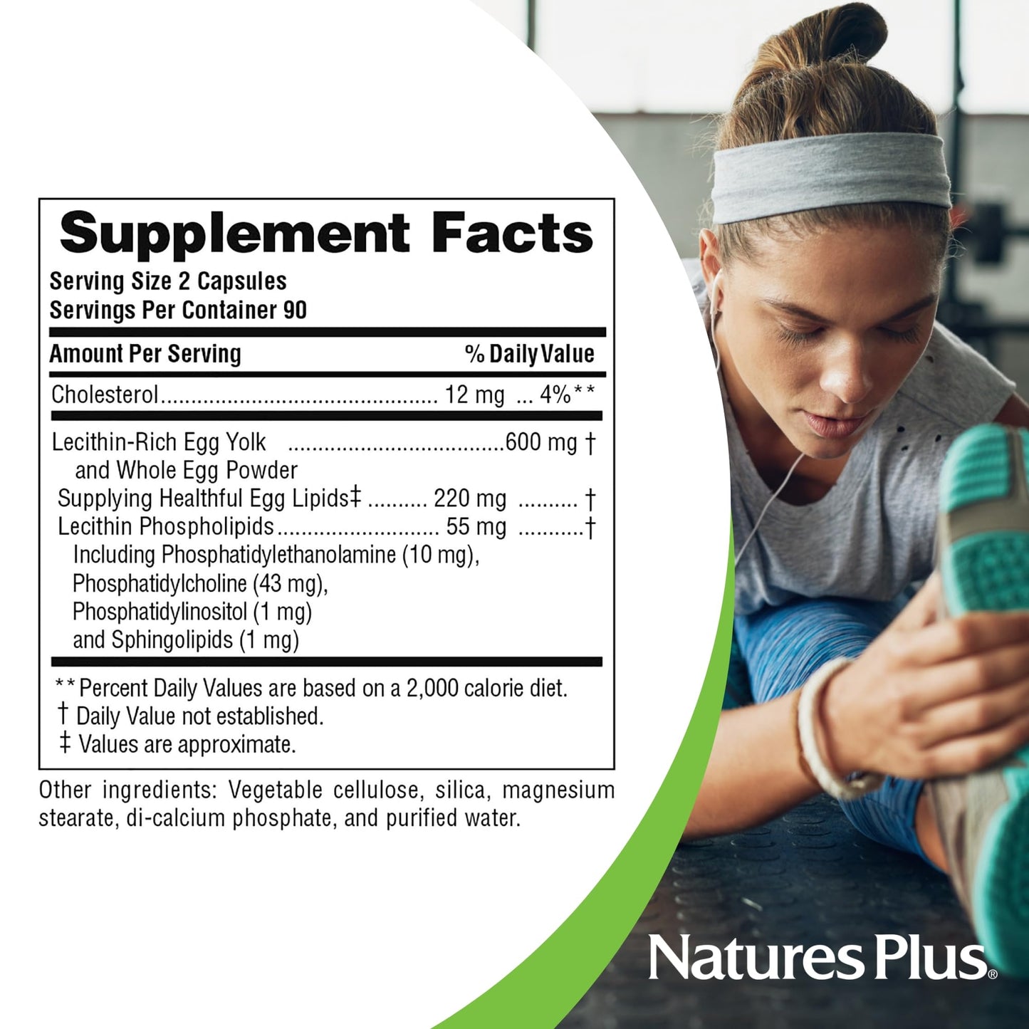 NaturesPlus Egg Yolk Lecithin - 600 mg Capsule, 180 Count