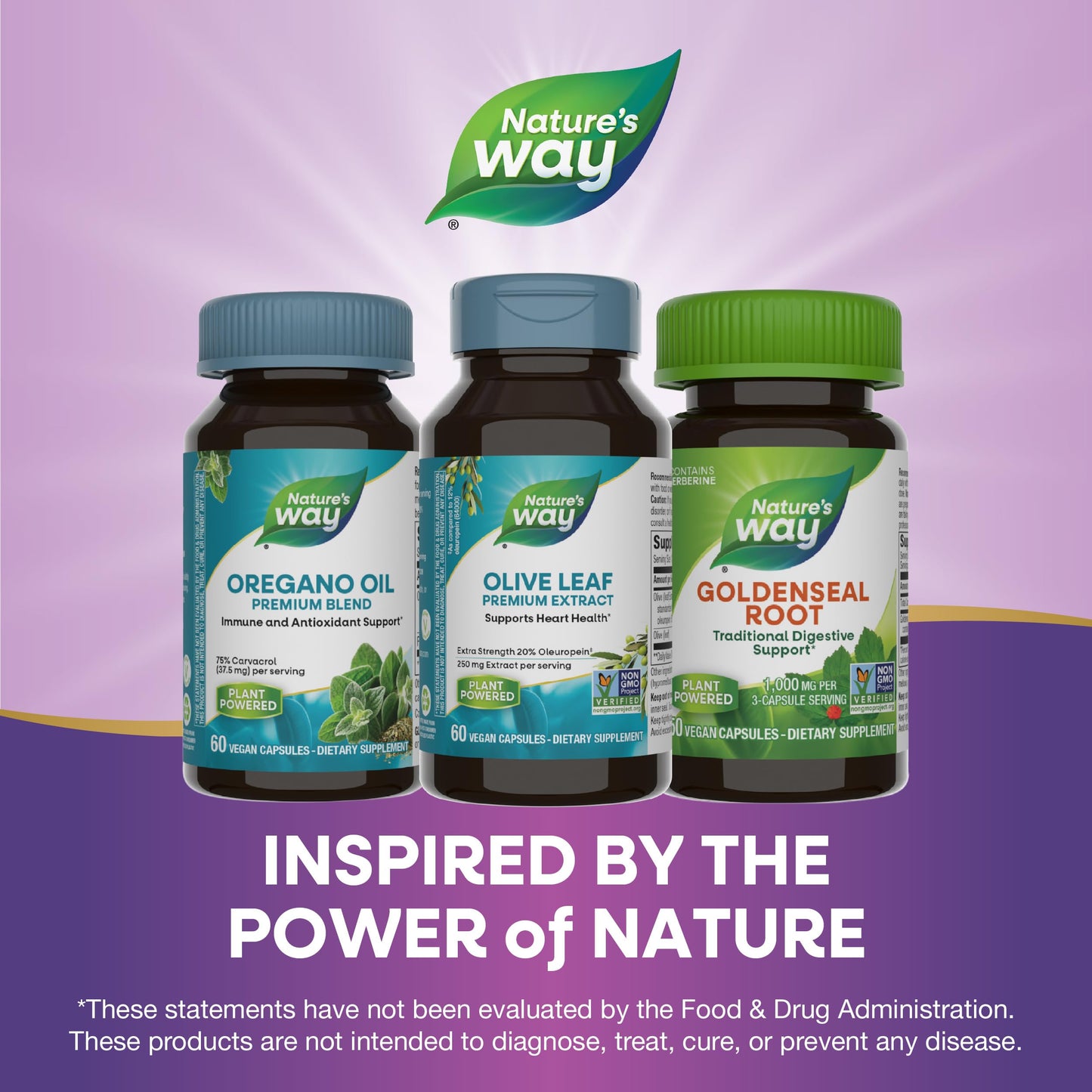 Nature's Way Olive Leaf Premium Extract Capsules 60