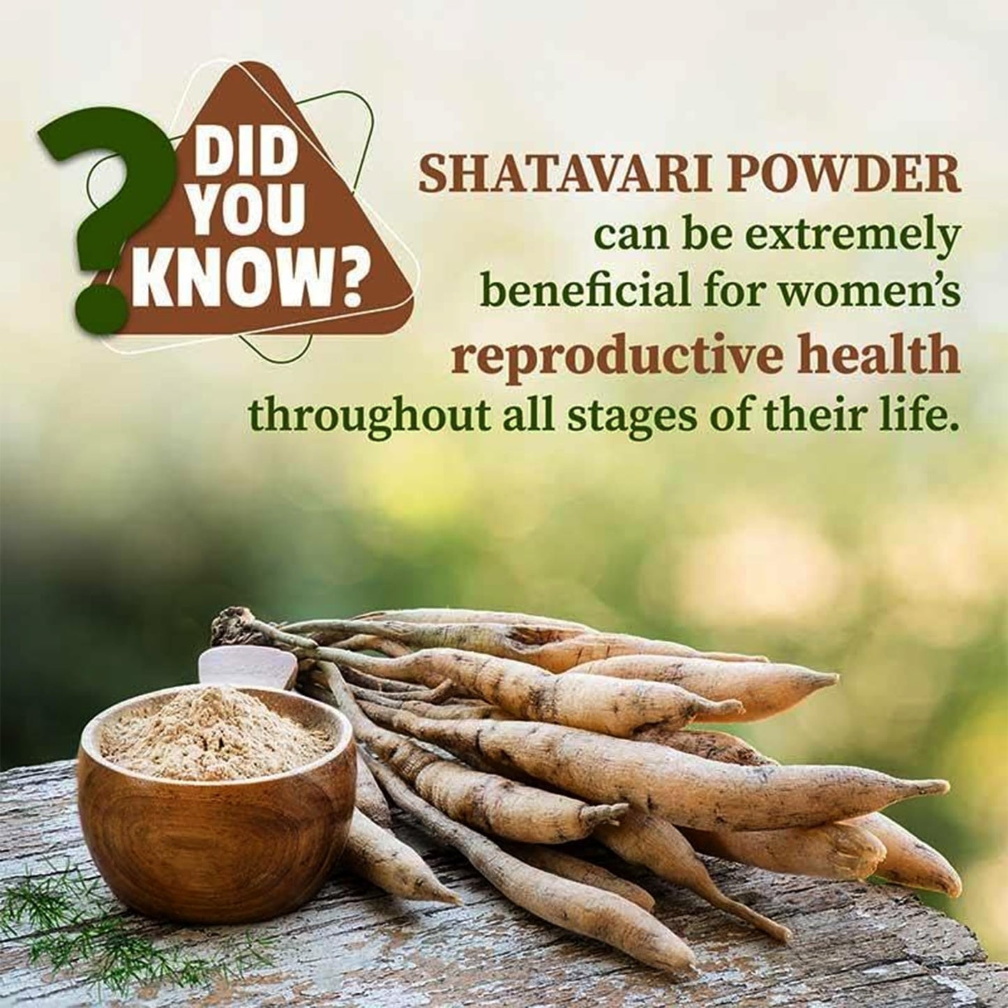 VEDAPURE Organic Shatavari Powder 3.53 oz