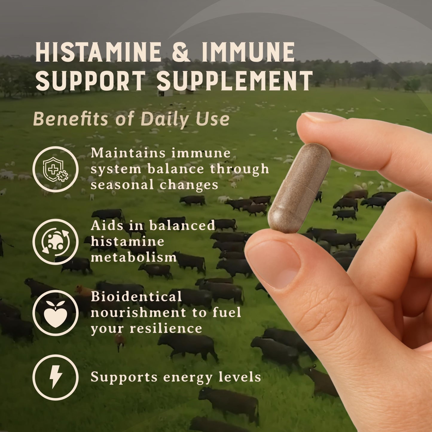 HEART & SOIL Histamine & Immune Support 180 Capsules
