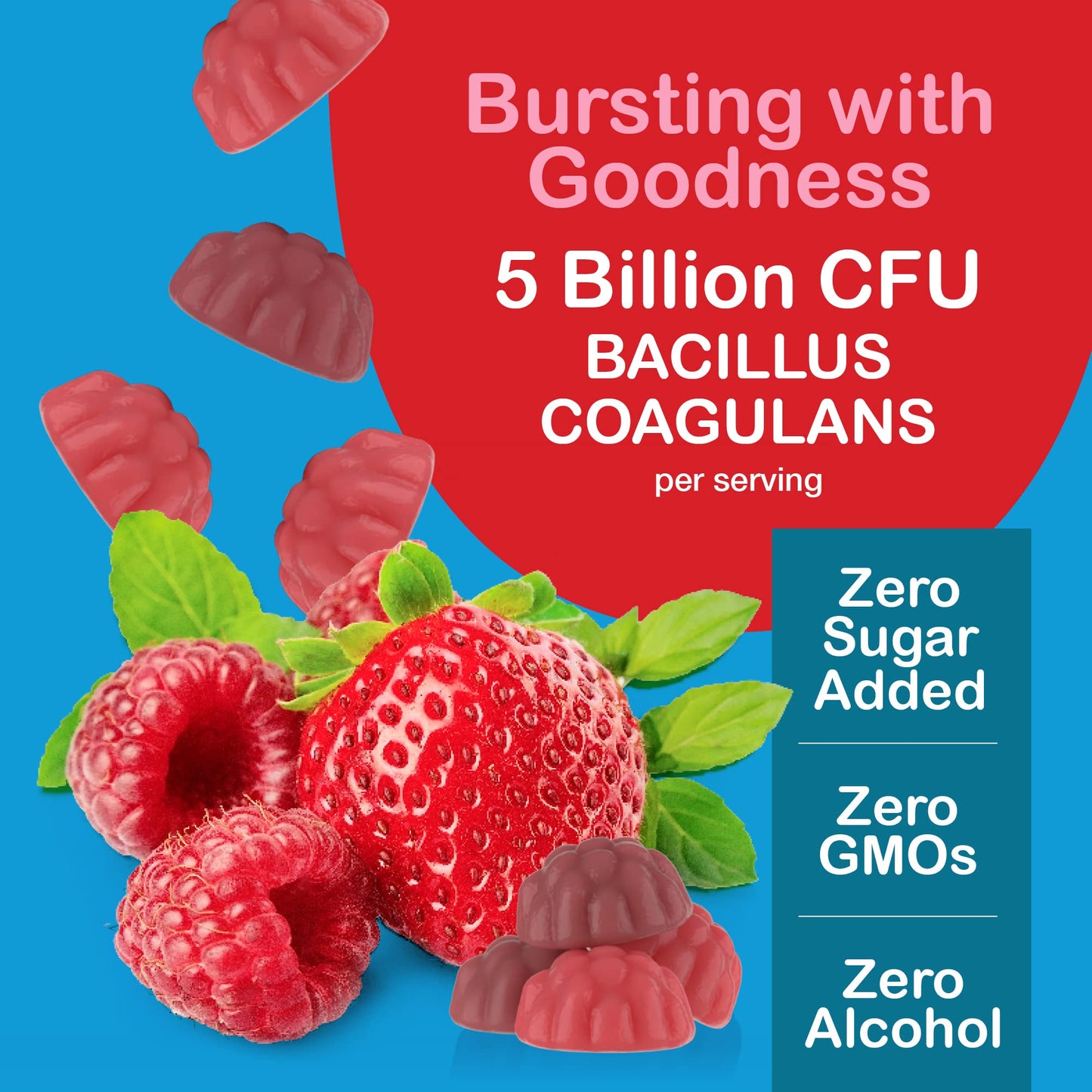 YUM-V'S Sugar Free Probiotic Gummies 5 Billion CFU Bacillus Coagulans, Vegan & Gluten-Free, 60 Count