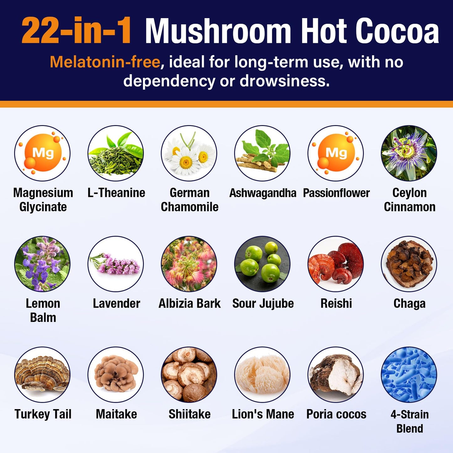 Volocatilly Mushroom Hot Cocoa with Magnesium Glycinate, Reishi, L-Theanine, Ashwagandha, Lemon Balm, Lavender, Organic Cacao Powder Hot Chocolate for Sleep & Relaxation, Vegan Powder 0.24