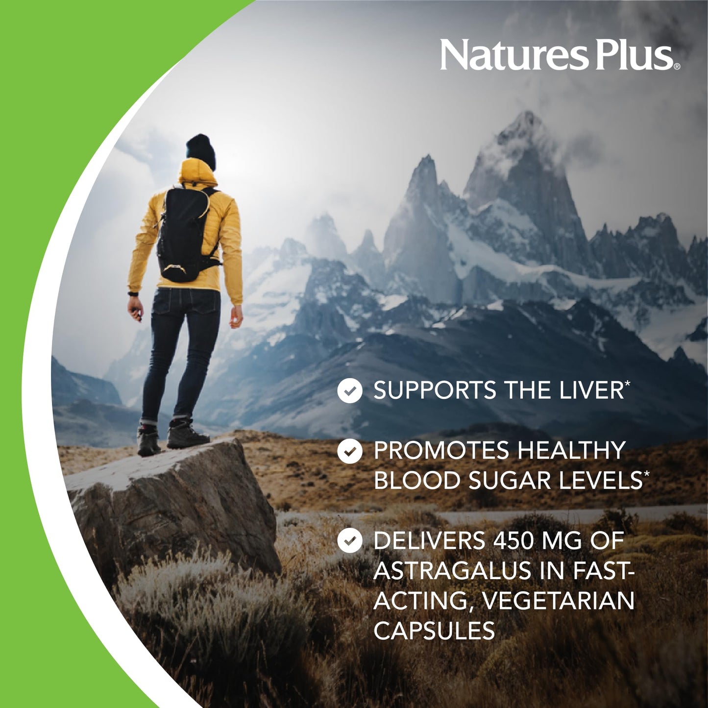 NaturesPlus Herbal Actives Astragalus Capsules 60 Count
