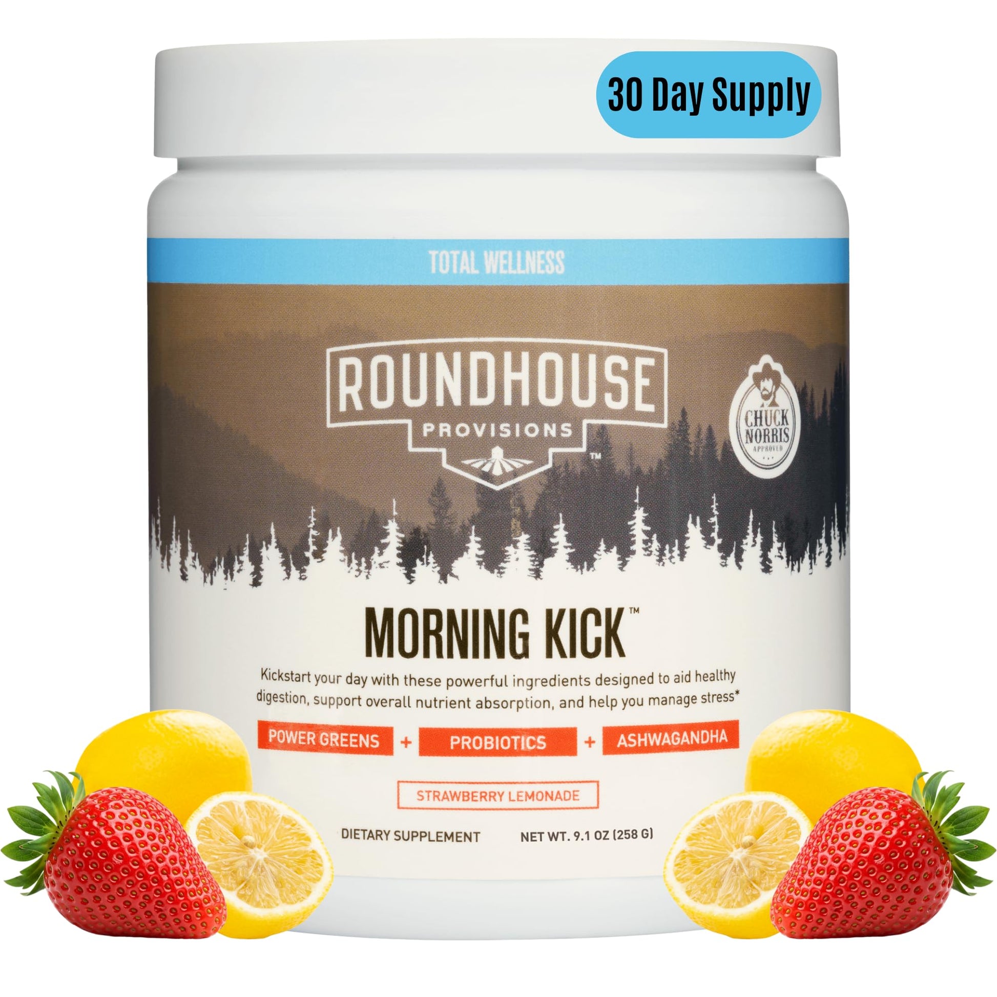 Roundhouse Provision Morning Kick Greens Strawberry Lemonade Powder 9.1 Ounce (Pack of 1)