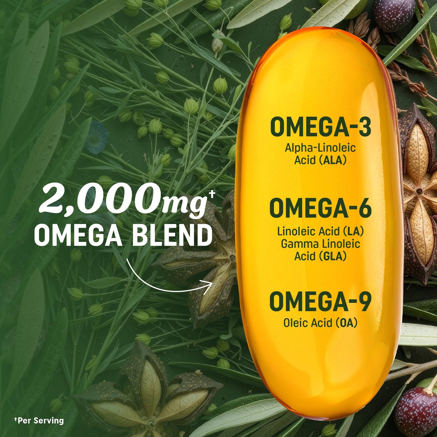 MAV NUTRITION Vegan Omega 3 6 9 Supplements Softgels 60 Count