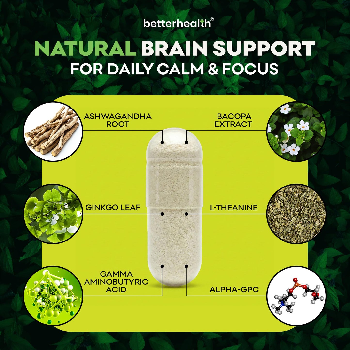 BetterHealth Brain Health Supplement for Memory, Focus & Calm, Cognitive Support with Ashwagandha, L-Theanine, Alpha GPC, Bacopa & Ginkgo, Daily Brain Support, 60 Capsules