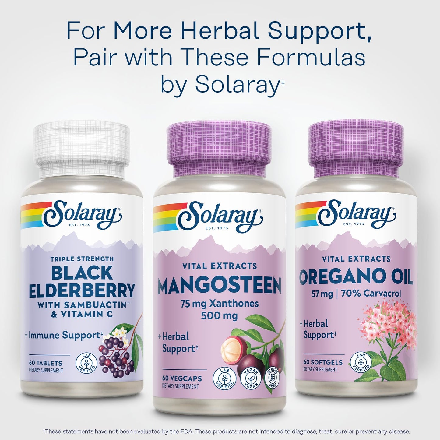 Solaray Mangosteen 500mg Capsules, 60 Capsules