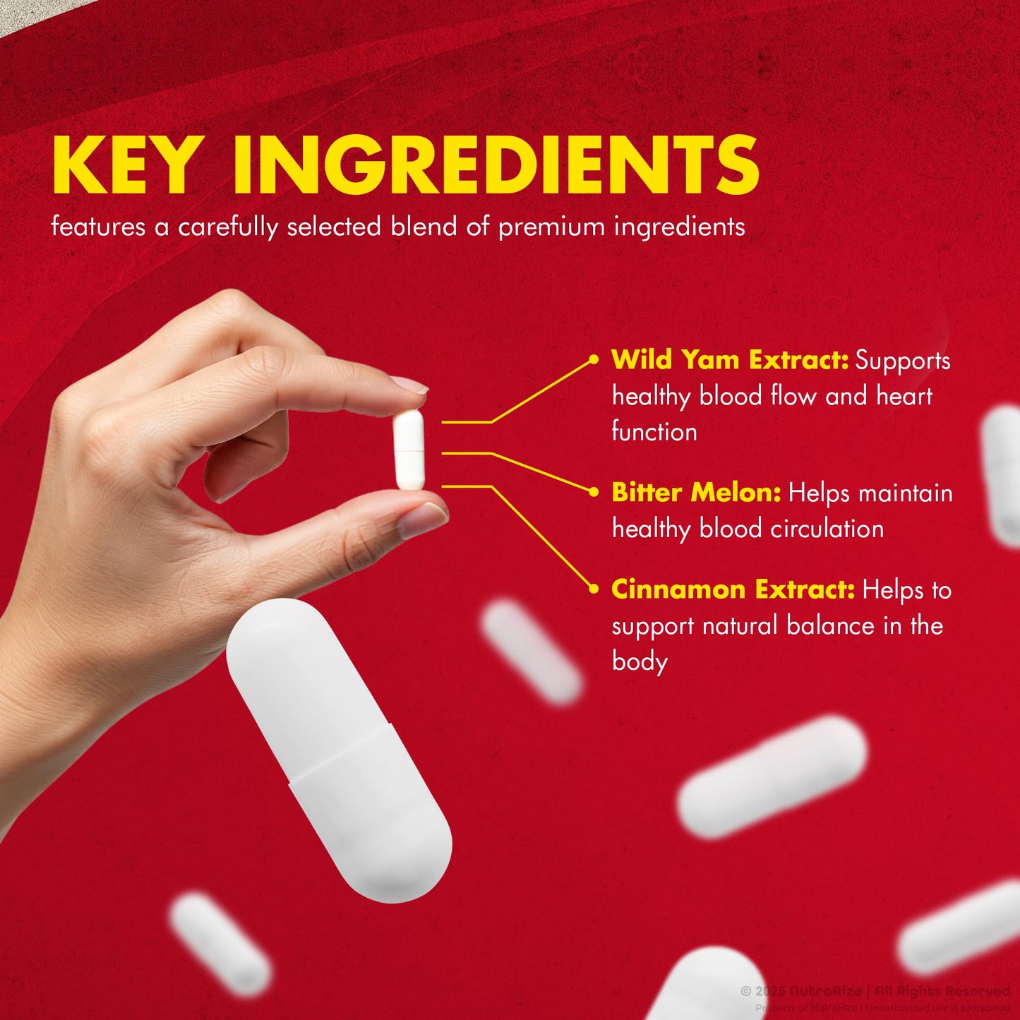 NutraRize GlucoBio Capsules 120 Capsules