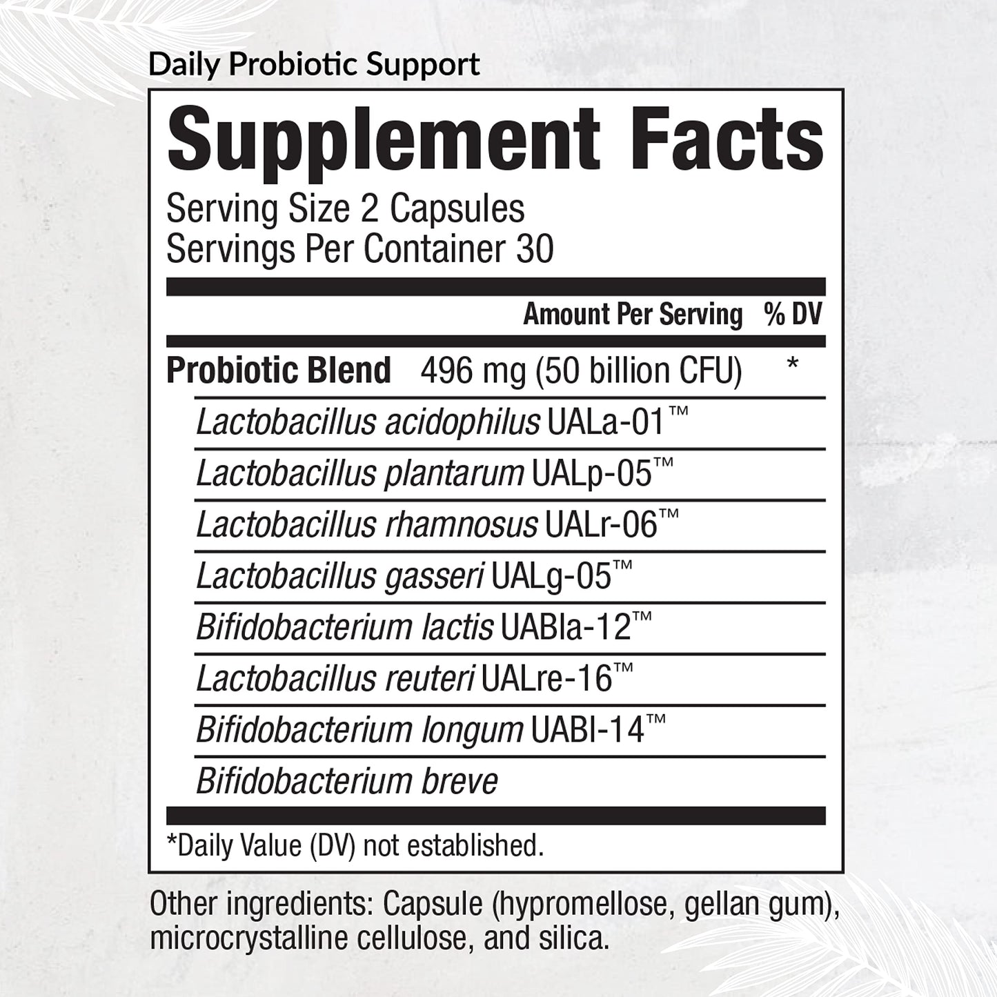 Equilife Daily Probiotic Support Capsule 60 Capsules