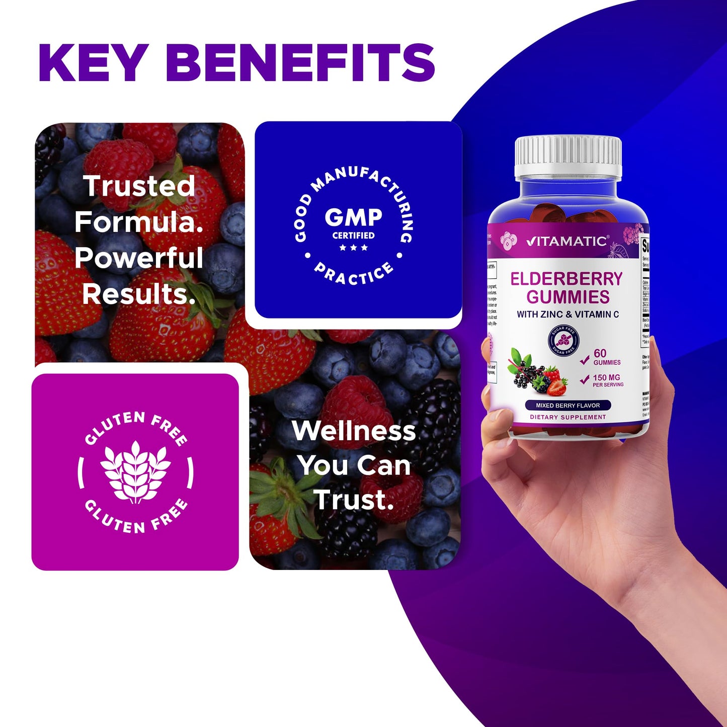Vitamatic Elderberry Gummies with Vitamin C & Zinc – Immune Support, Gummies, 60 Count