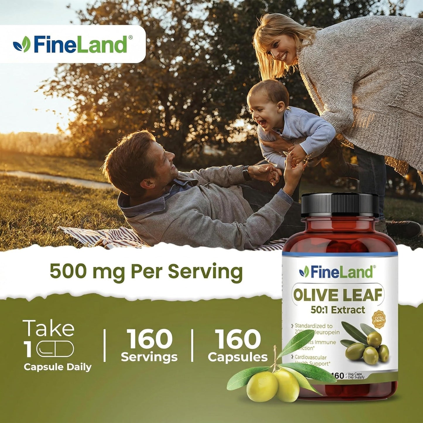 FineLand Olive Leaf 50:1 Extract with 20% Oleuropein Capsules, 160 Count