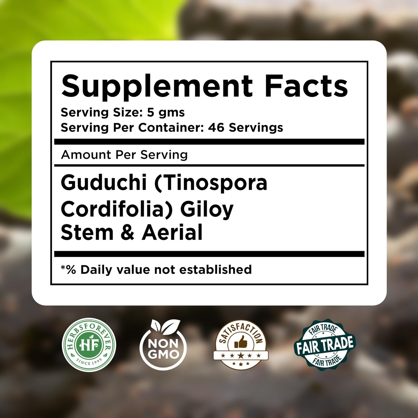 Herbsforever Guduchi (Tinospora Cordifolia) Powder, Ayurvedic Herbal Supplement, 8.11 oz