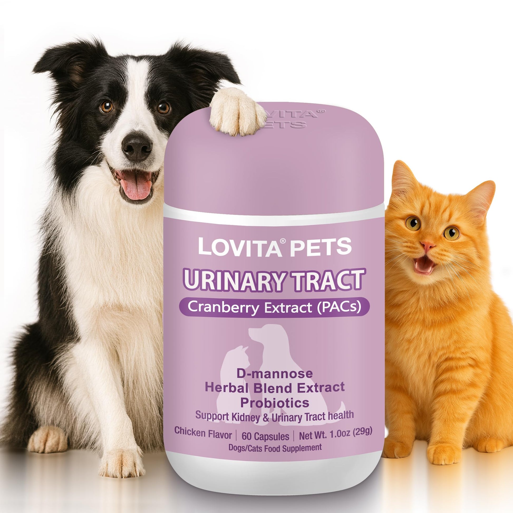 LOVITA Urinary Tract Support for Dogs & Cats Capsule, 60 Capsules