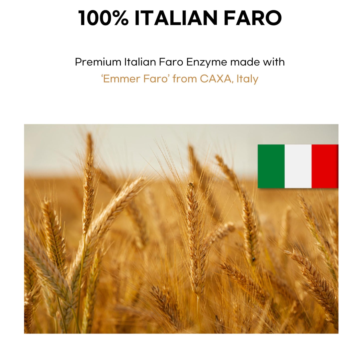 Chunho Ncare Italian Premium Farro Enzyme Stick Powder 0.11 oz per stick, Pack of 30 Sticks